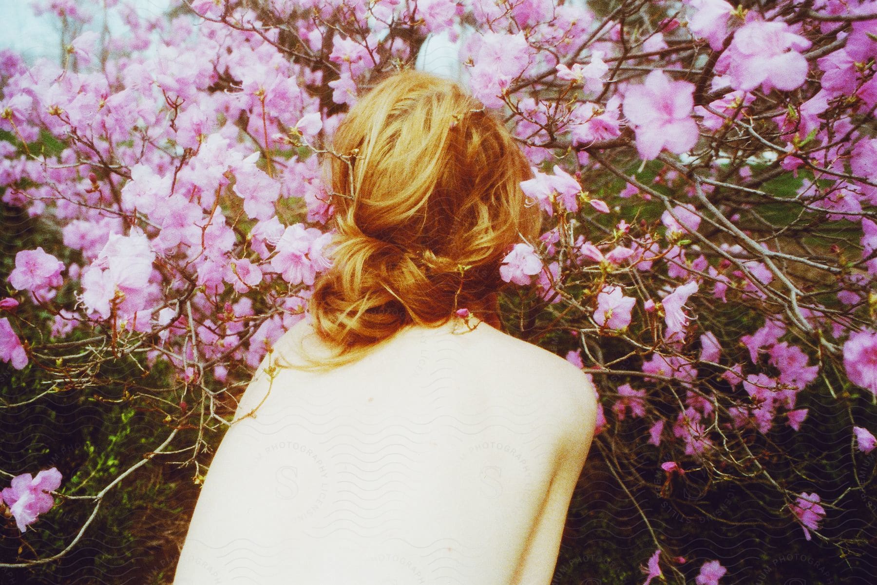 A woman out in nature looking at purple flowers on a plant