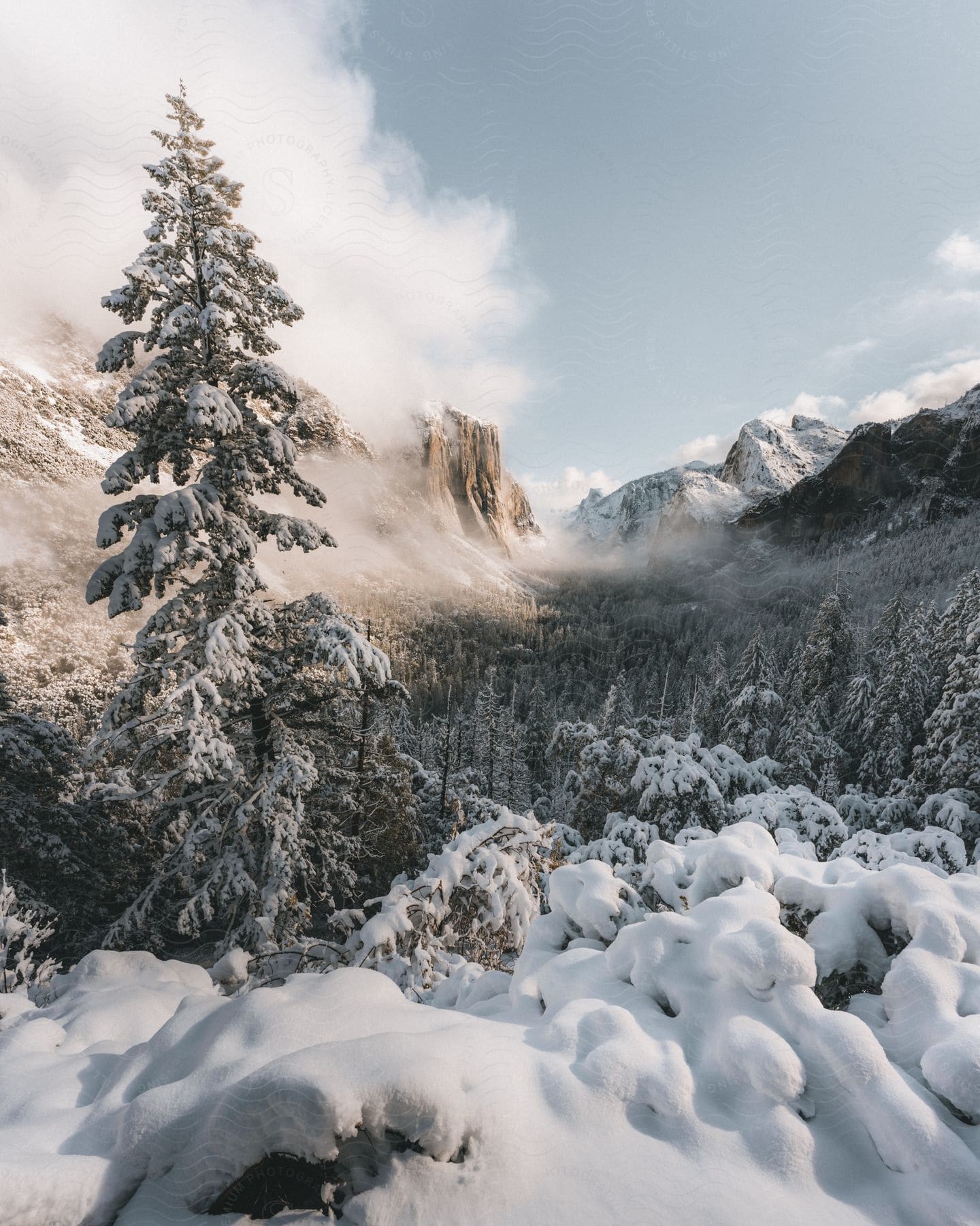 Forest and mountains around covered in snow on a sunny day.