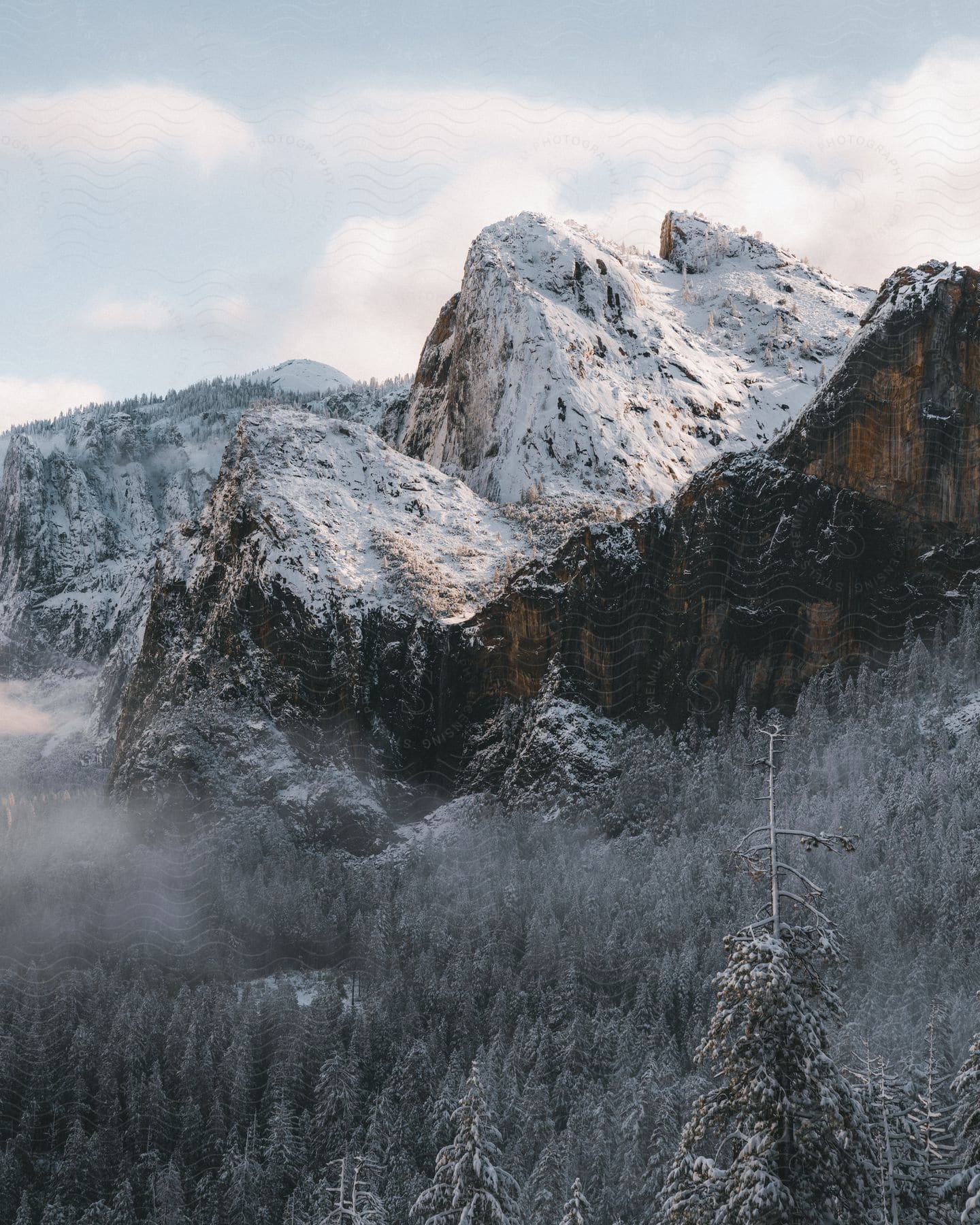 Mountains and trees outdoors covered in snow during the winter.