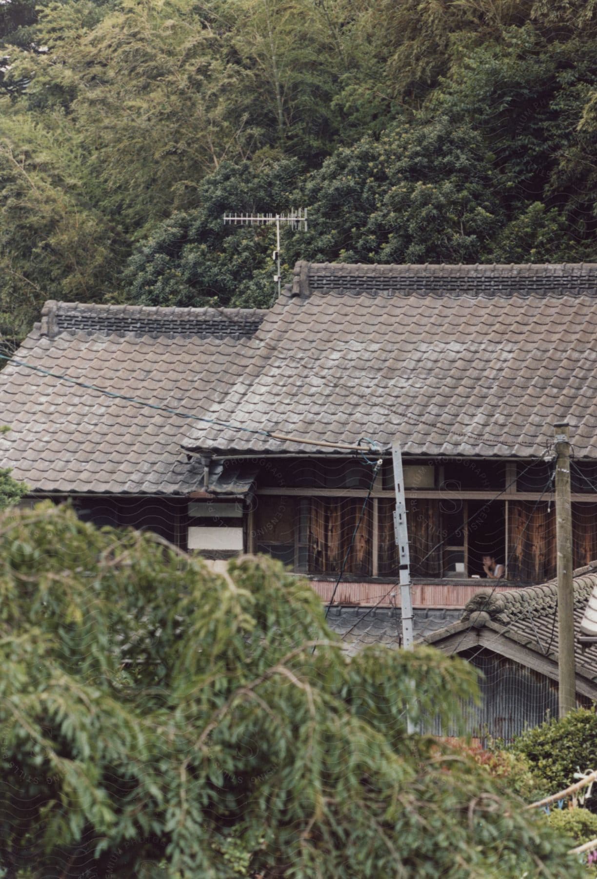 A lone man looks out of a second-story window in an old Japanese house, surrounded by trees in a quiet village.