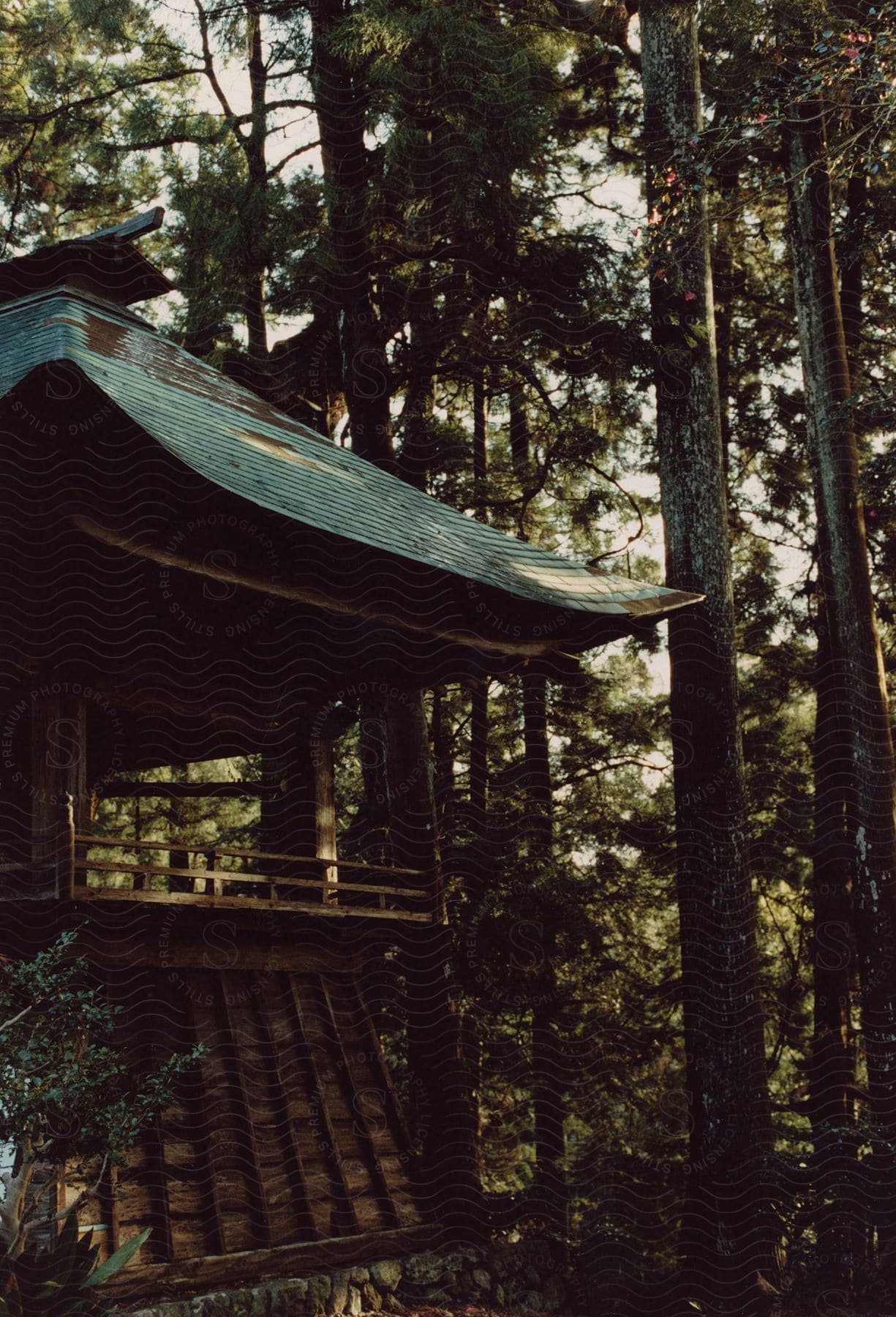 An Asian style wooden temple surrounded by tall trees in the forest