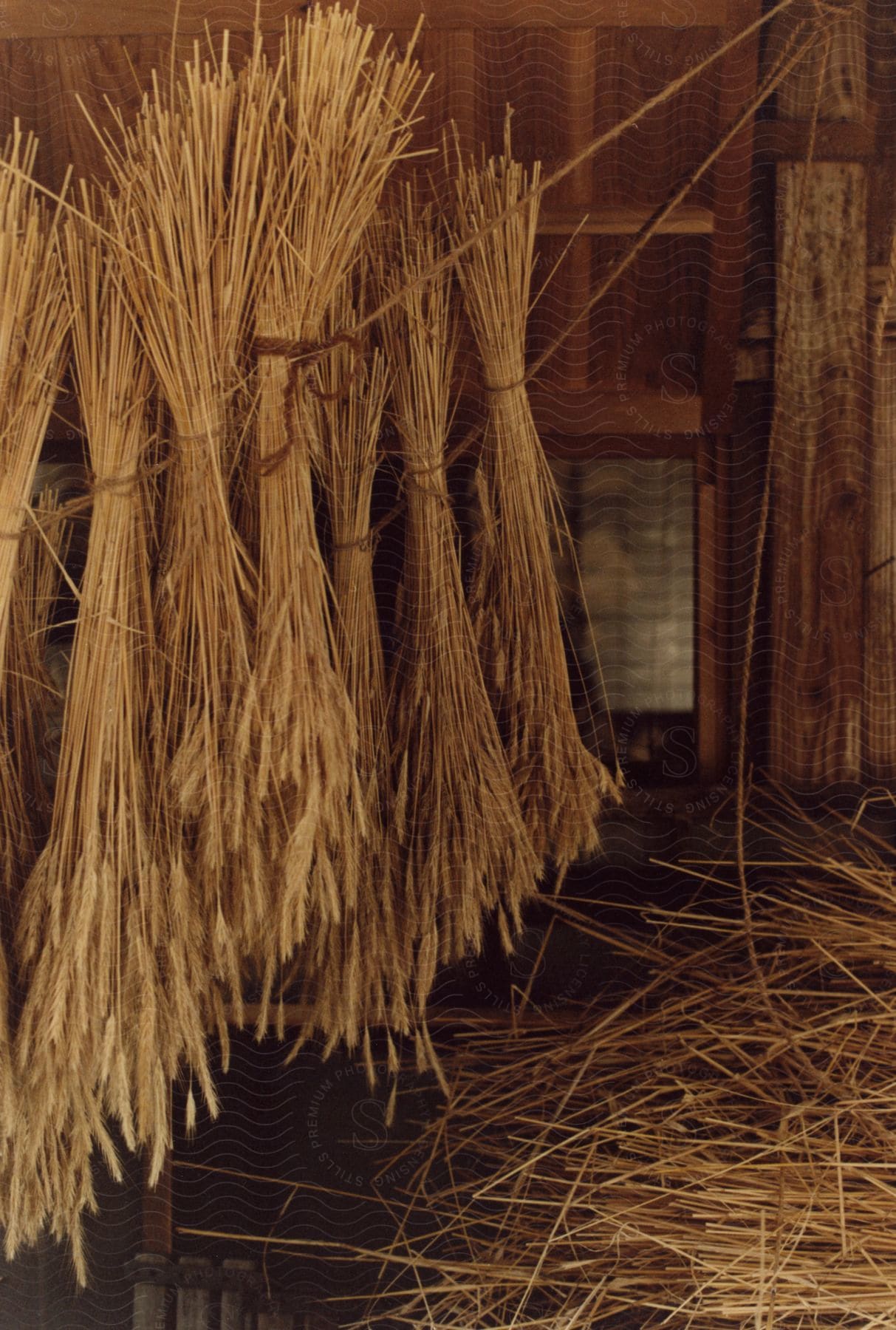 bundles of dried reeds