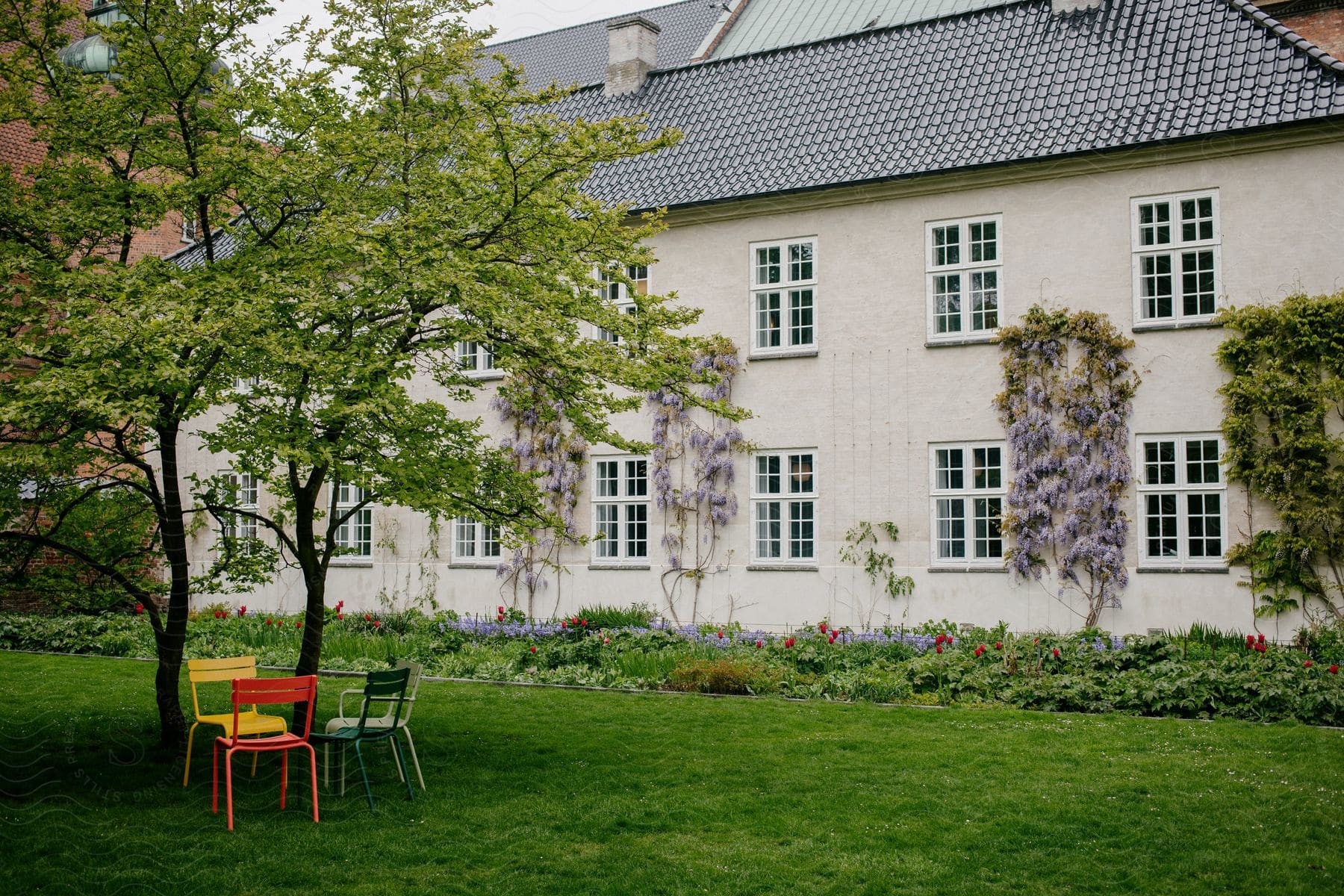 Exterior view of a large house with trees and grass in the yard