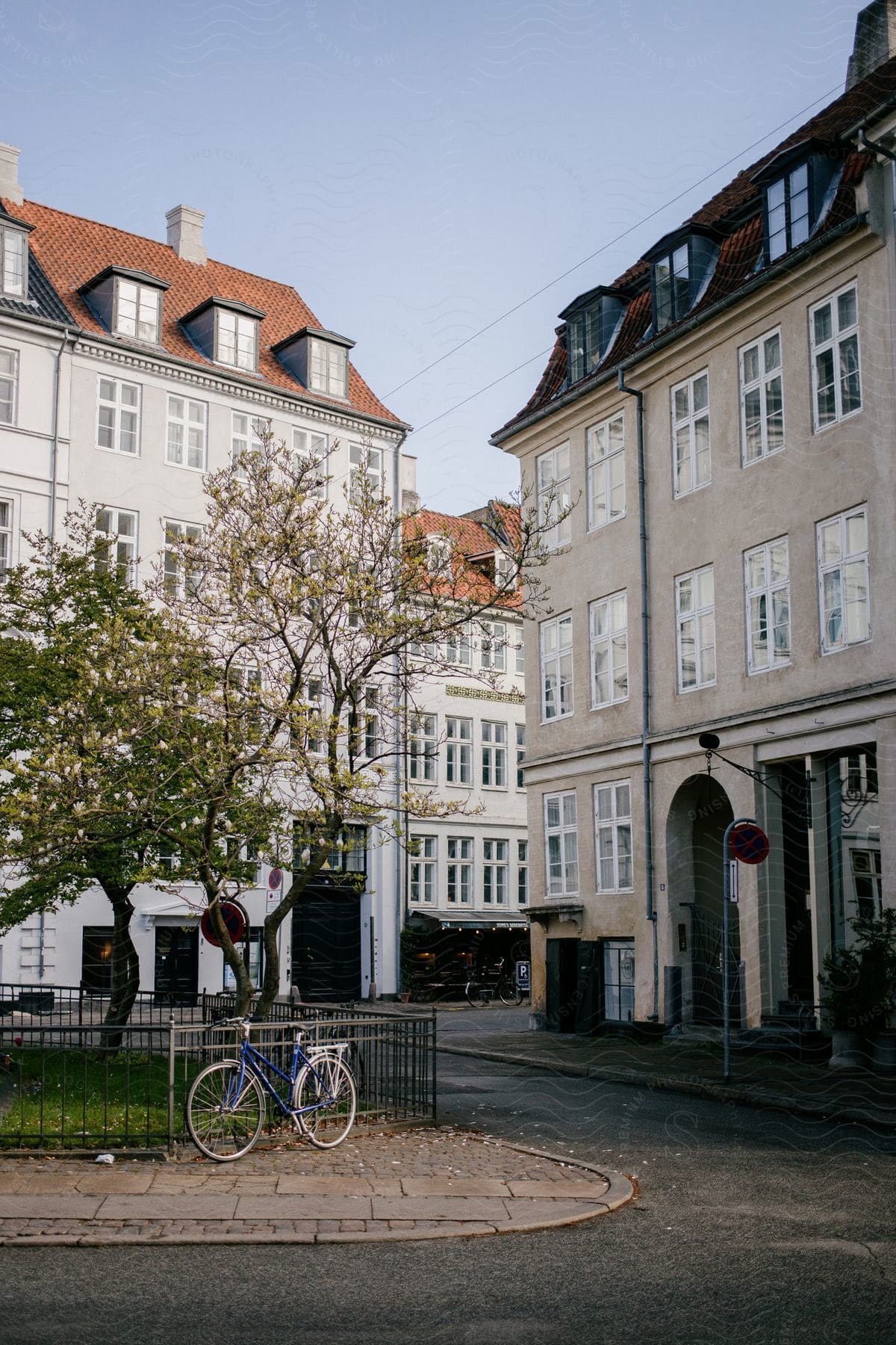 Bicycle against fence near tree between apartment buildings