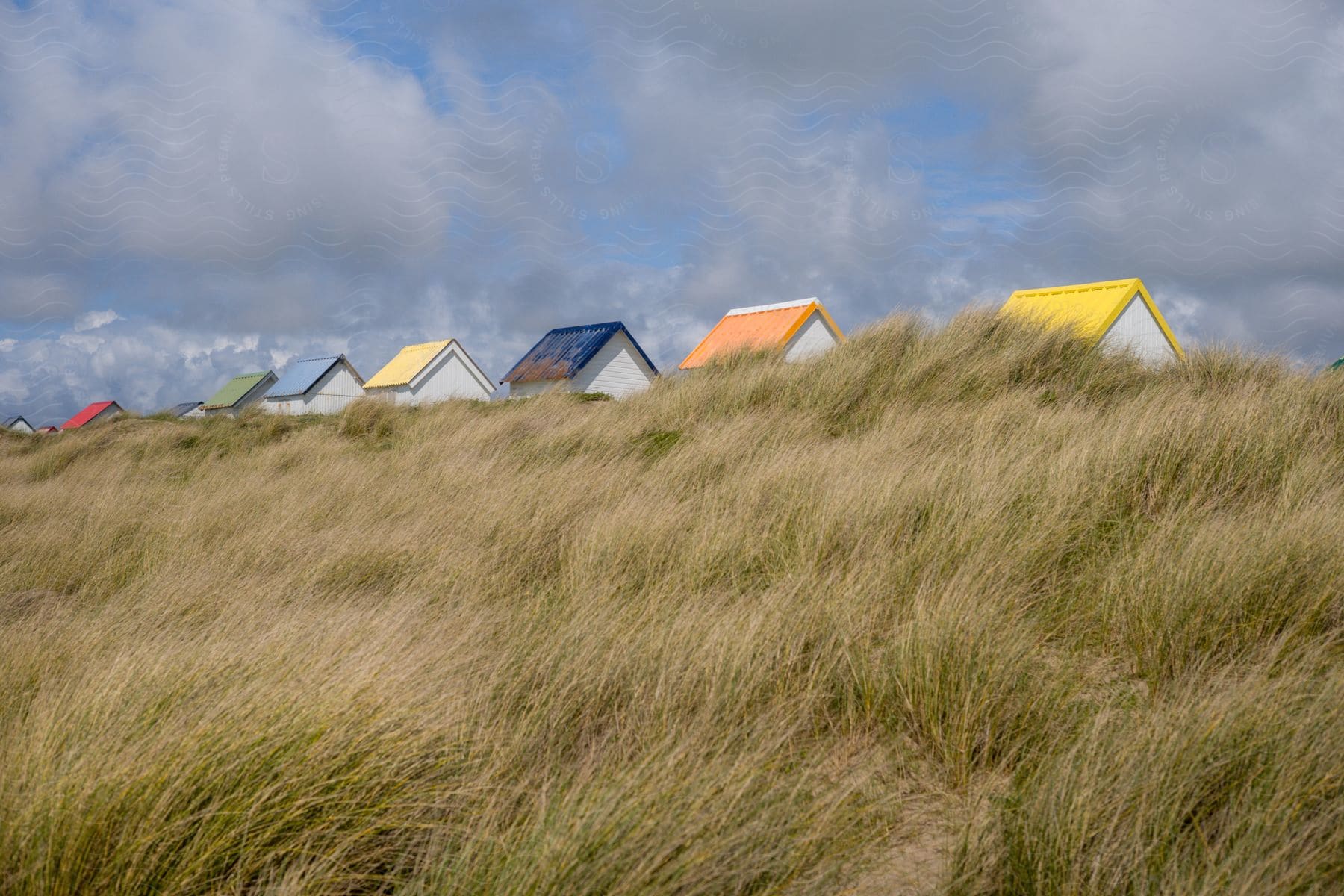 Brightly colored rooftops peeking over the crest of a grassy hill.