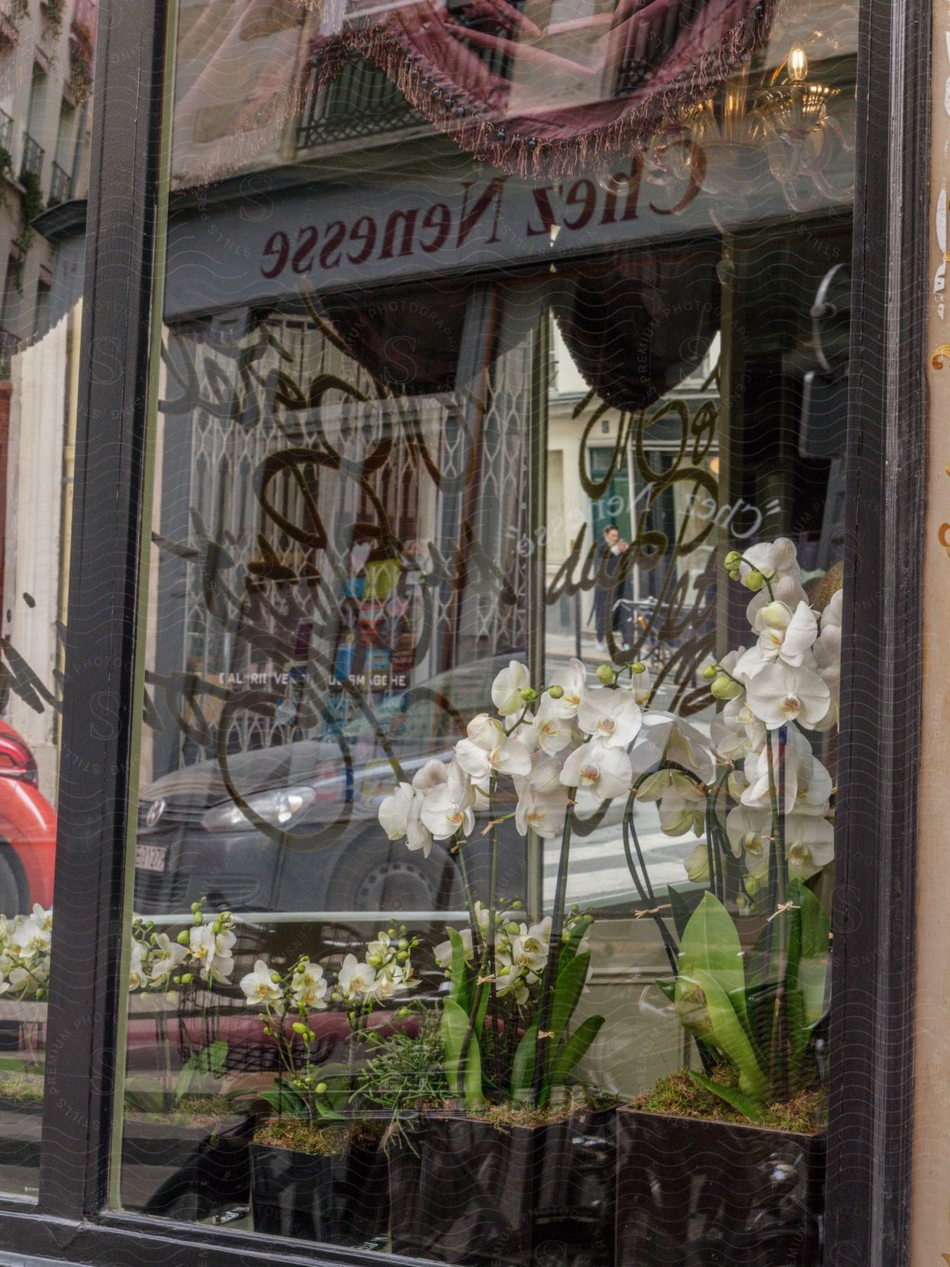 A flower shop's window pane reflecting parked cars on the other side of the street.