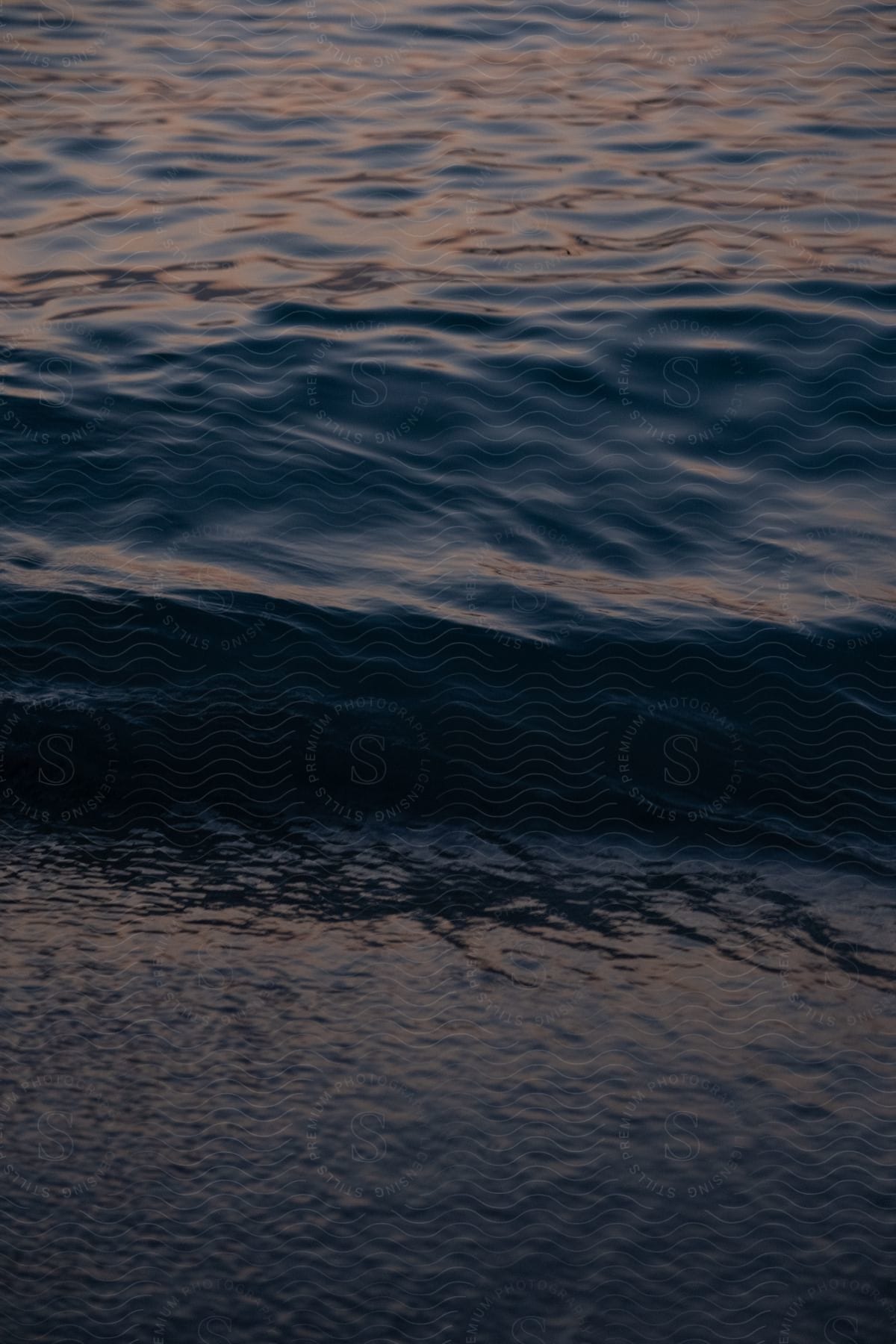 a wave starts to form in the ocean