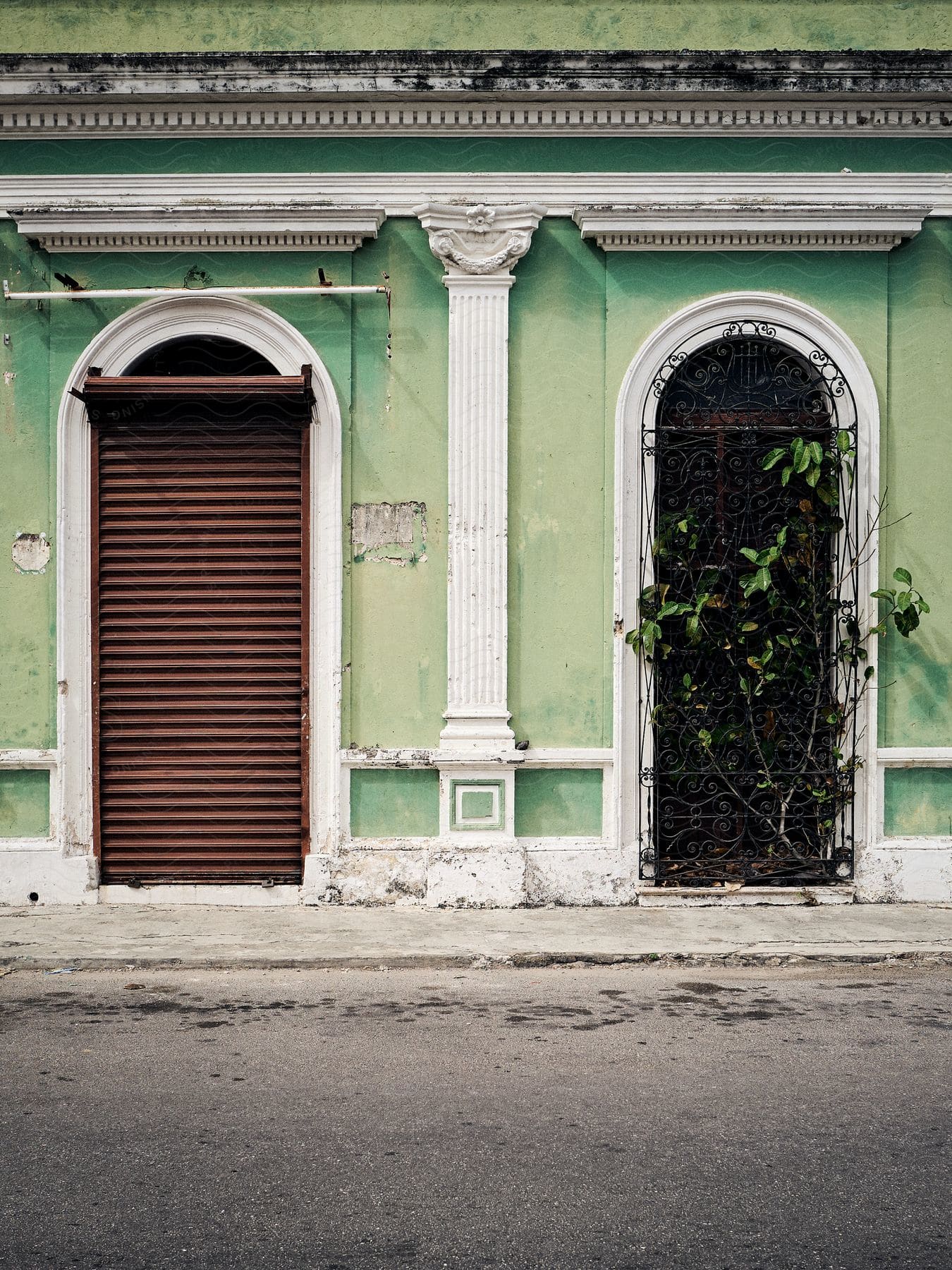 A green building with a closed security gate and a window with security bars is enlivened by a plant