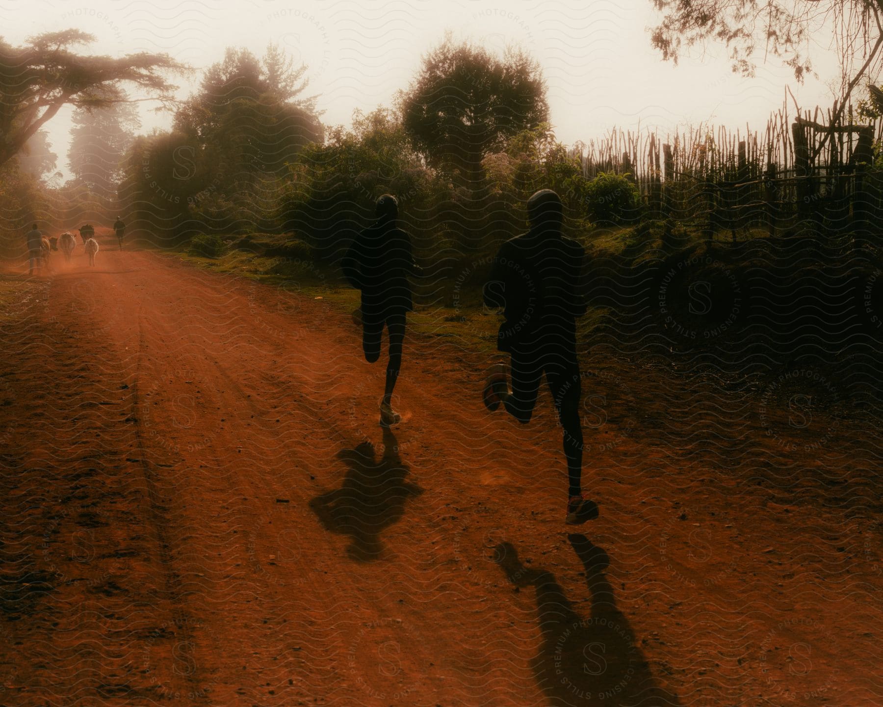 Silhouette of two people running at high speed.