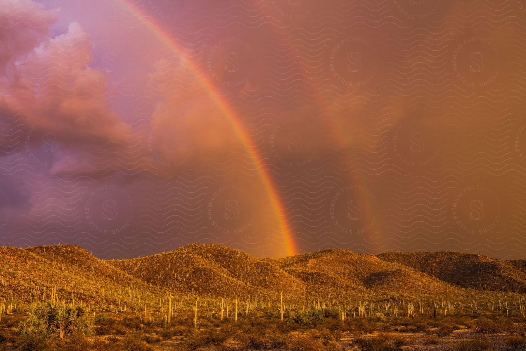 A rainbow in the cloudy sky at sunset in the natural landscape.