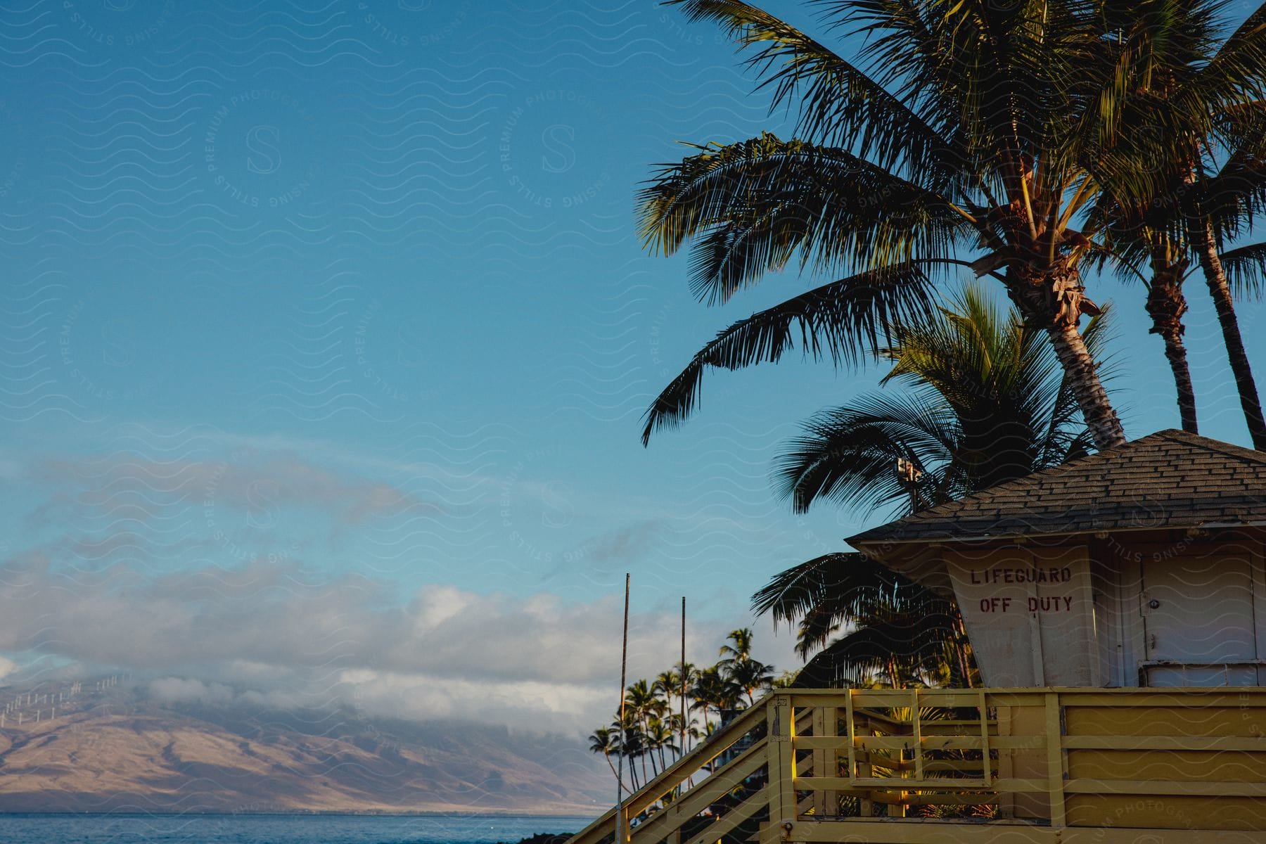 A lifeguard shack surrounded by palm trees across a bay from rolling hills.