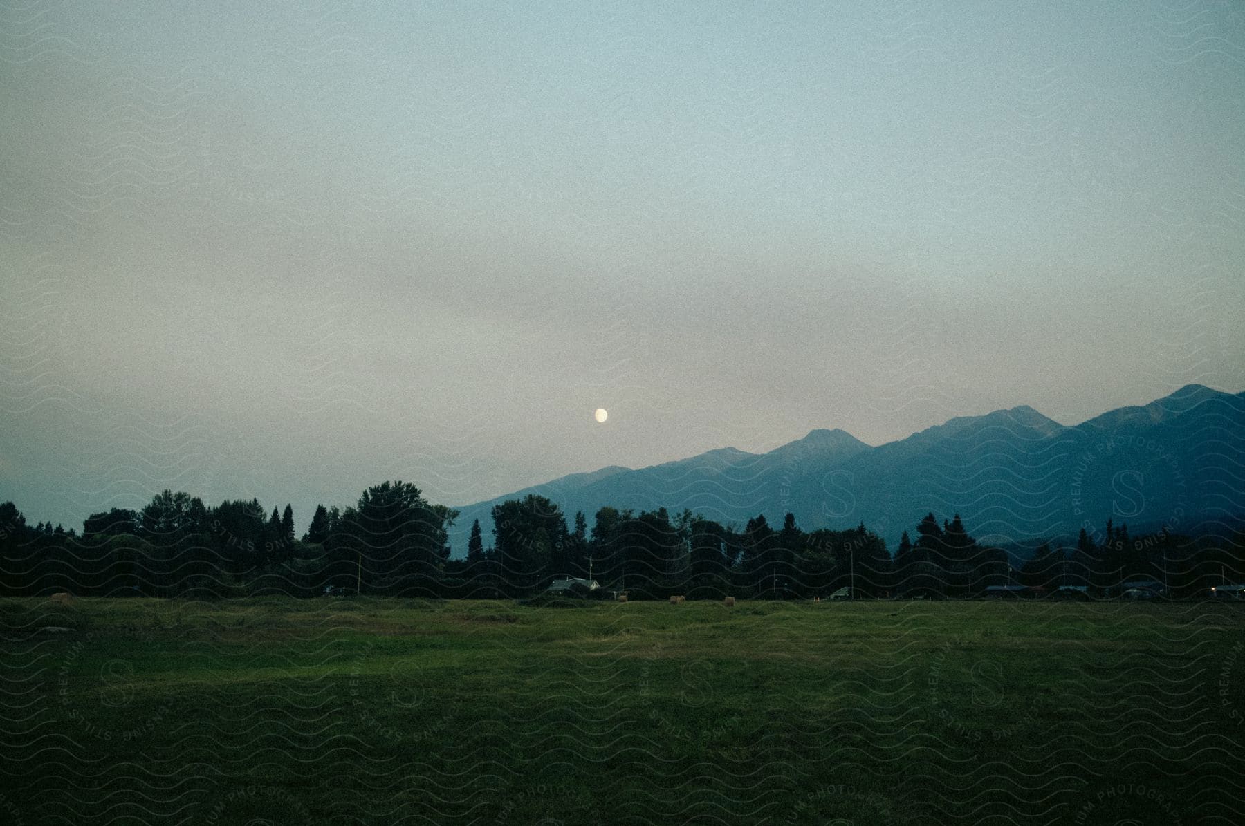 Landscape of grassland and forest with mountains in the background