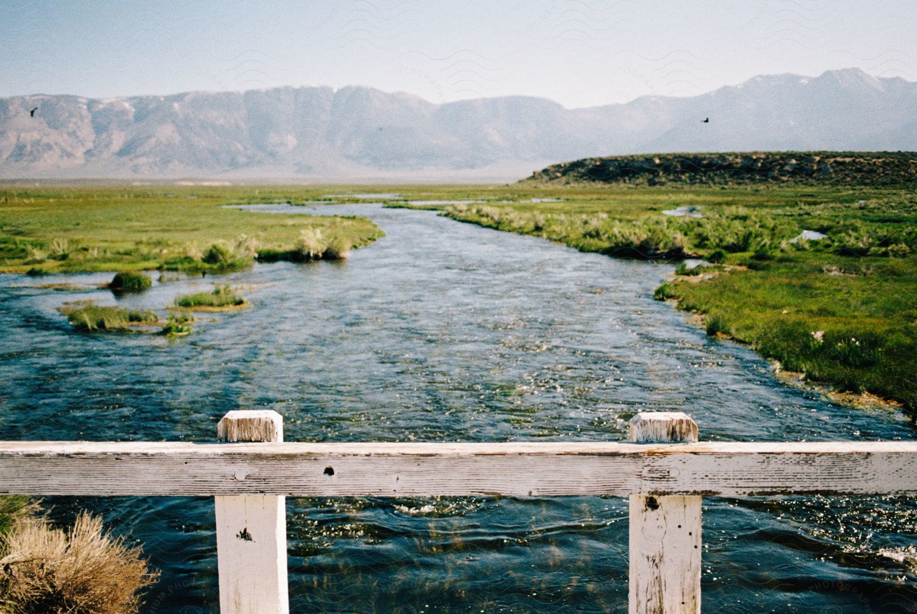 Water flowing in a river with some grass and trees in the distance