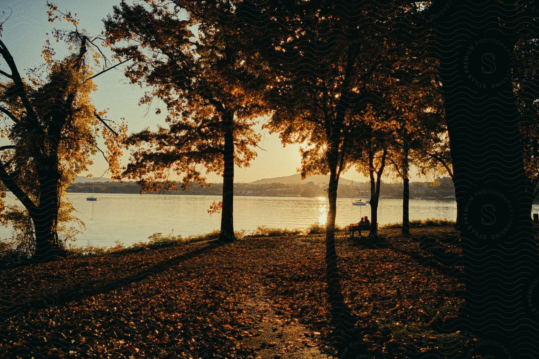 Lake and autumnal trees at golden hour