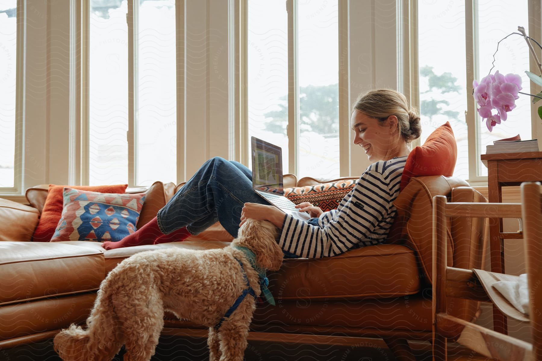 A women is sitting on her couch with her laptop on her lap petting her dog.