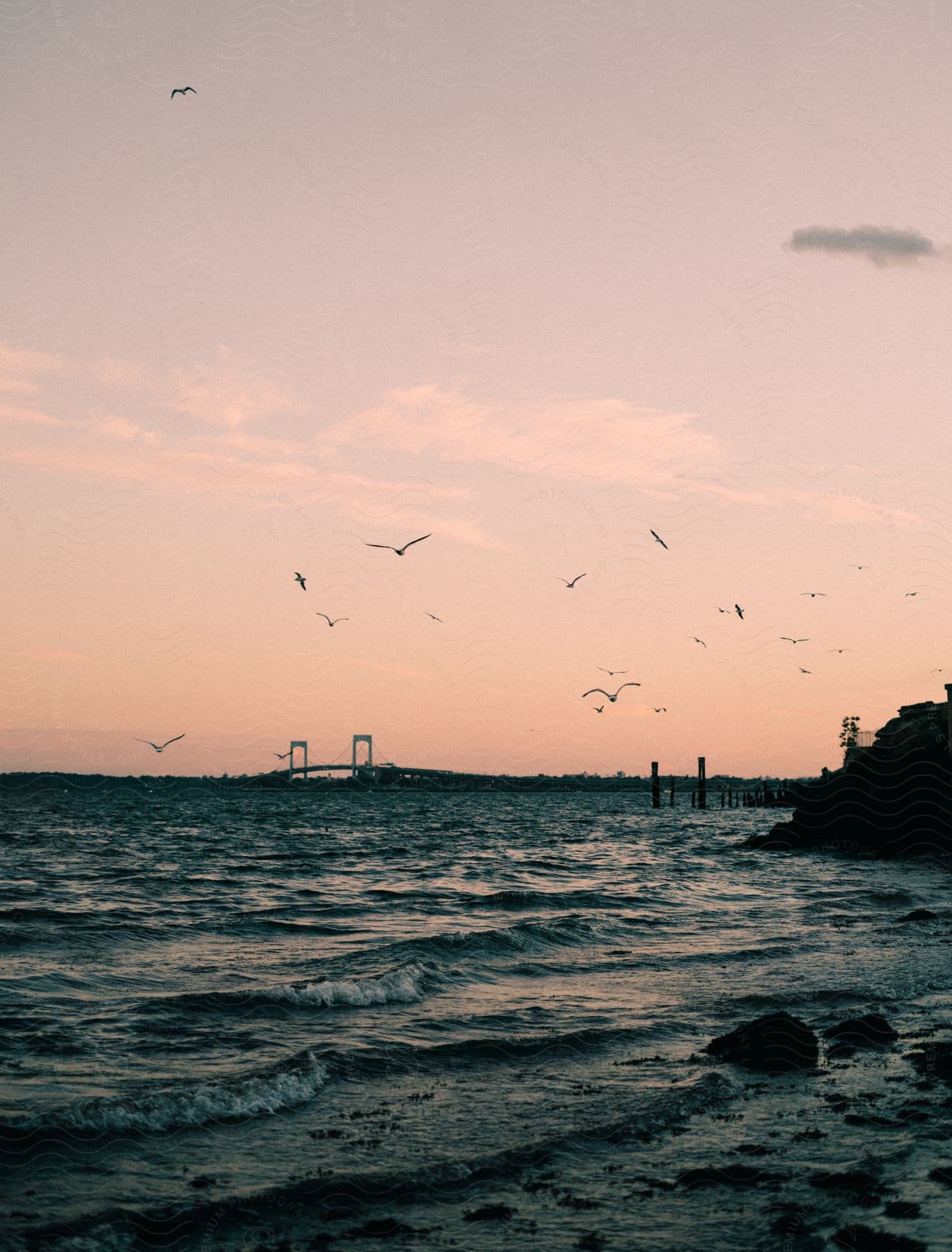 Birds flying over some water at sunset