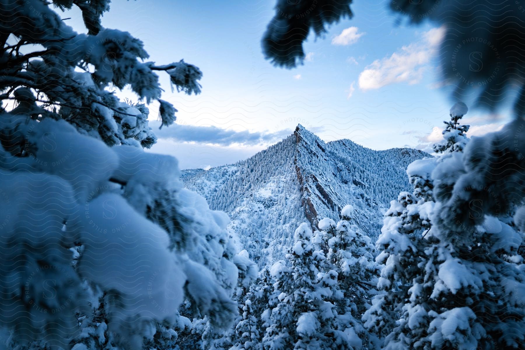 A view of mountains in the distance covered in snow