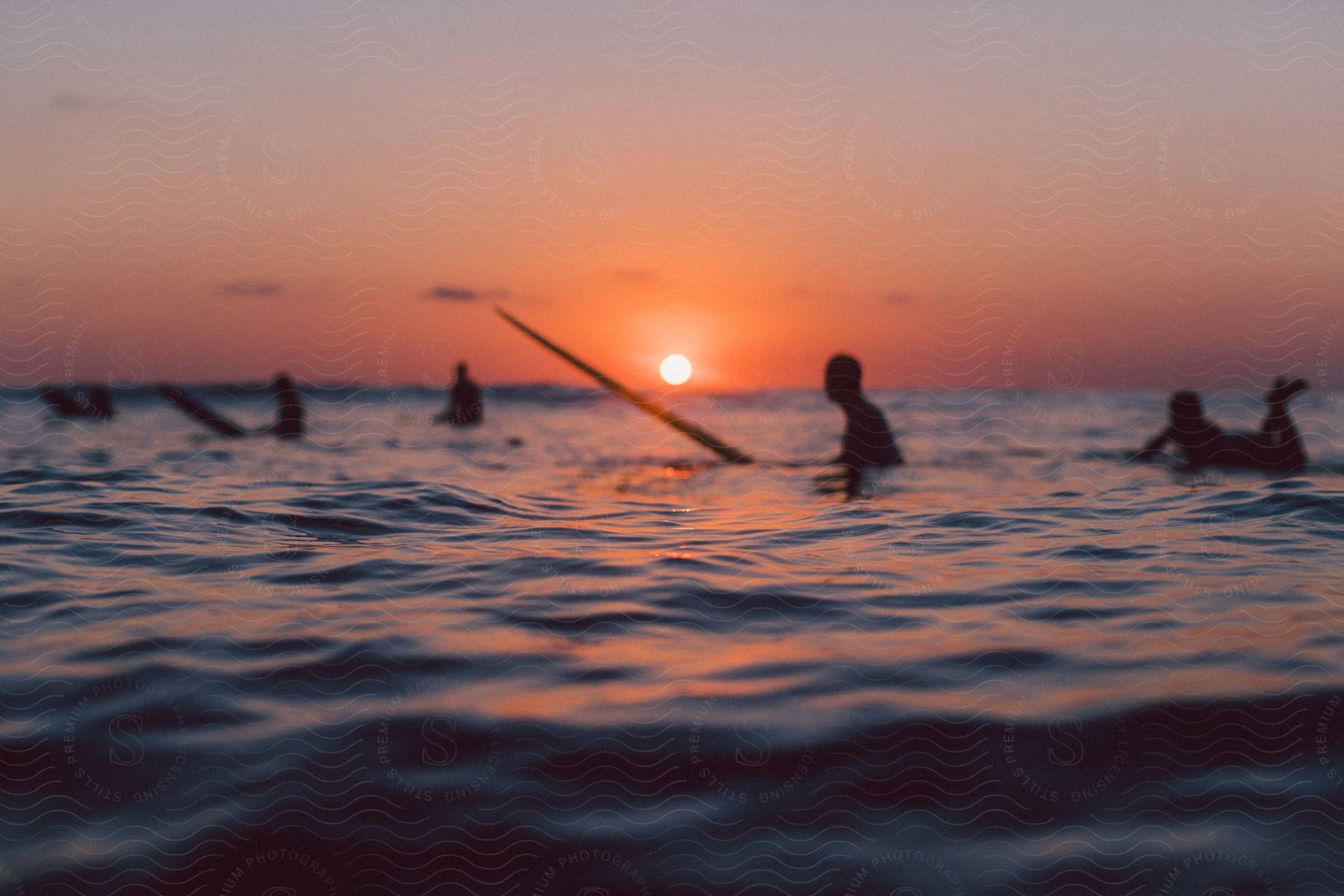 A small group of surfers in silhouette against the horizon at dusk