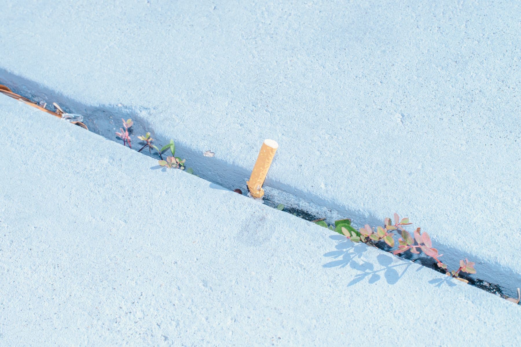 A cigarette butt is sticking out of a crack in a sidewalk.