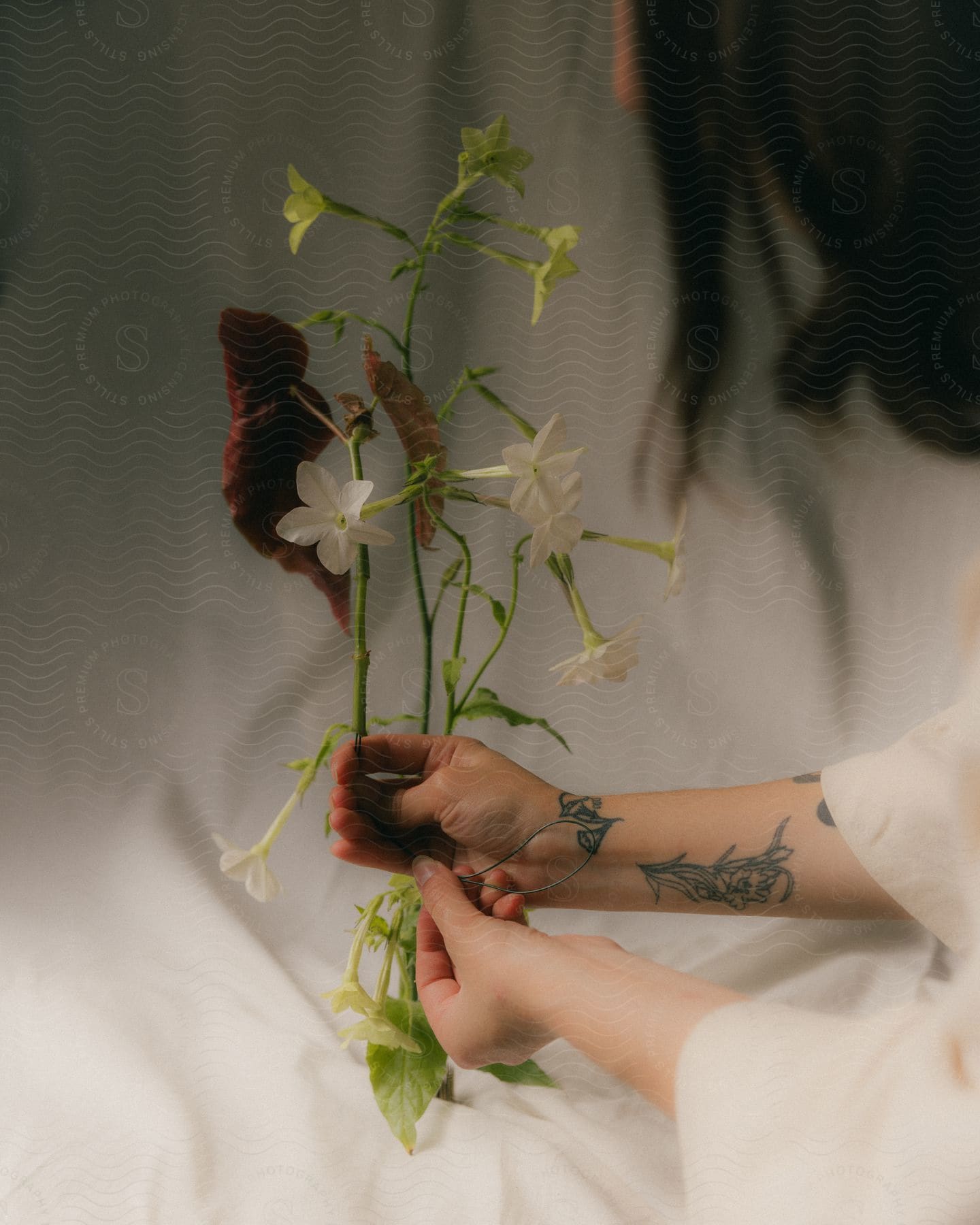 A women is holding a few flower stems in her hands.