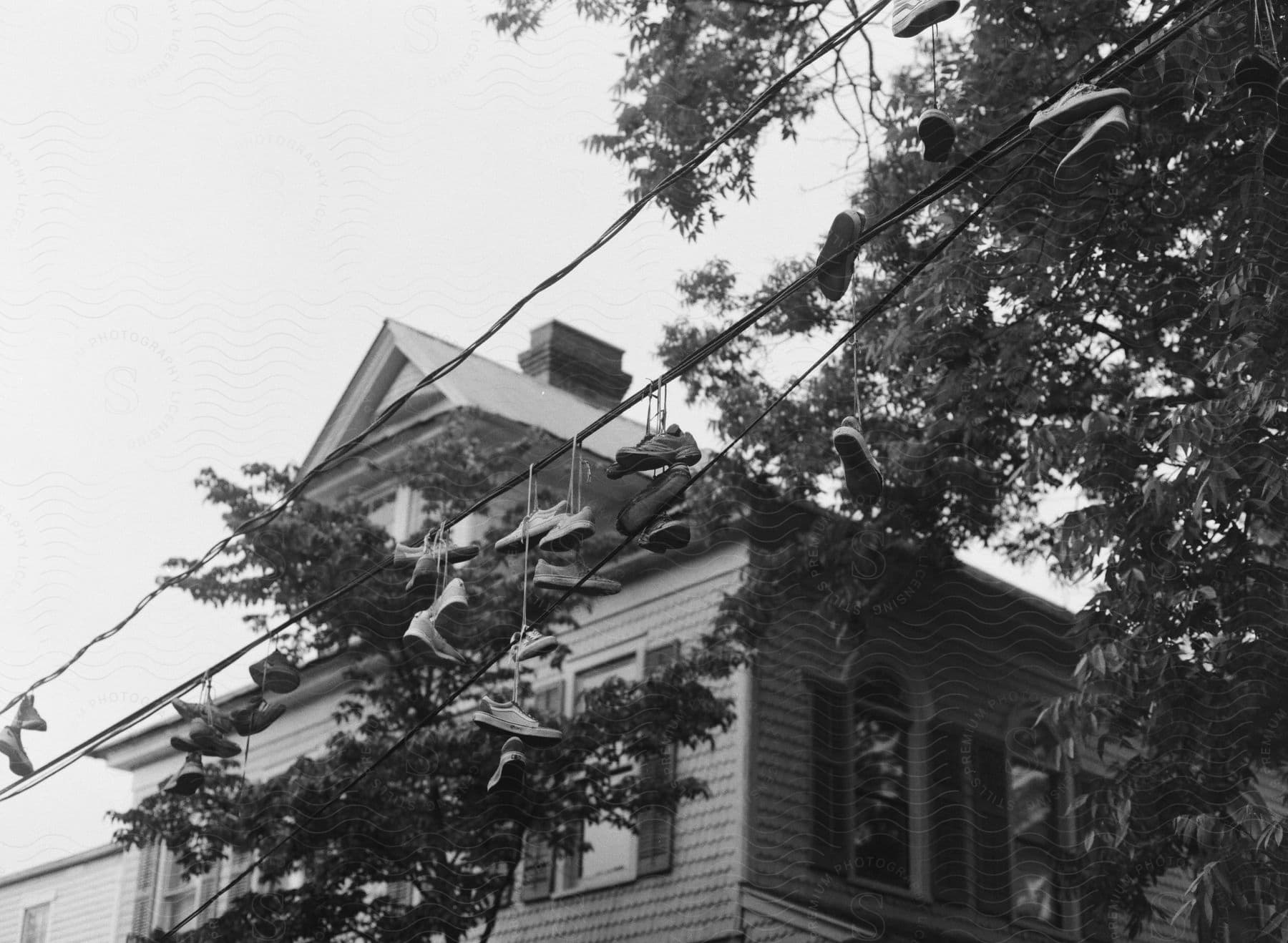 An old, multi-story house with a tree in front of it, festooned with shoes hanging from the telephone wires.