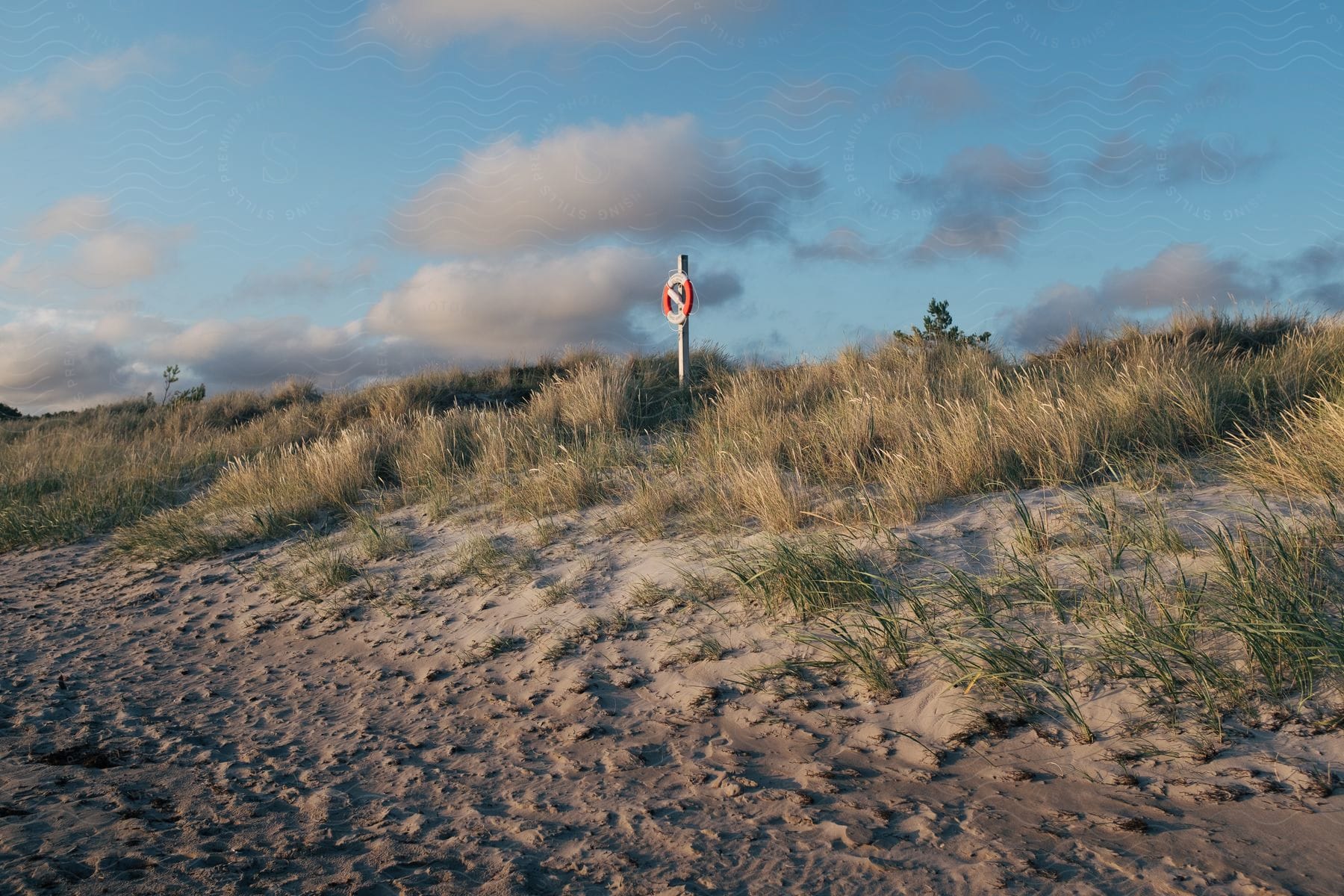 A life raft is nailed to a board with a notice posted on the beach.