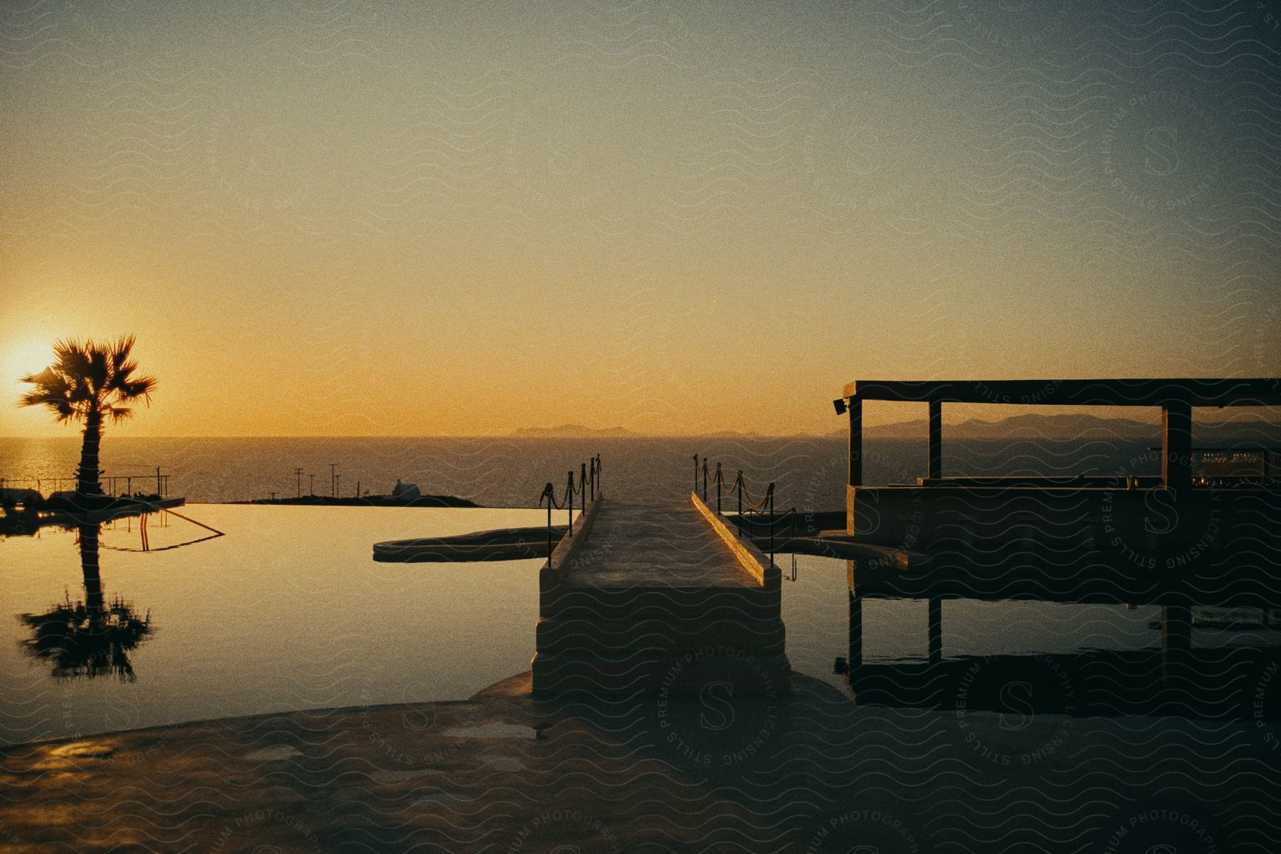 a swimming pool and a palm tree near the ocean at sunset