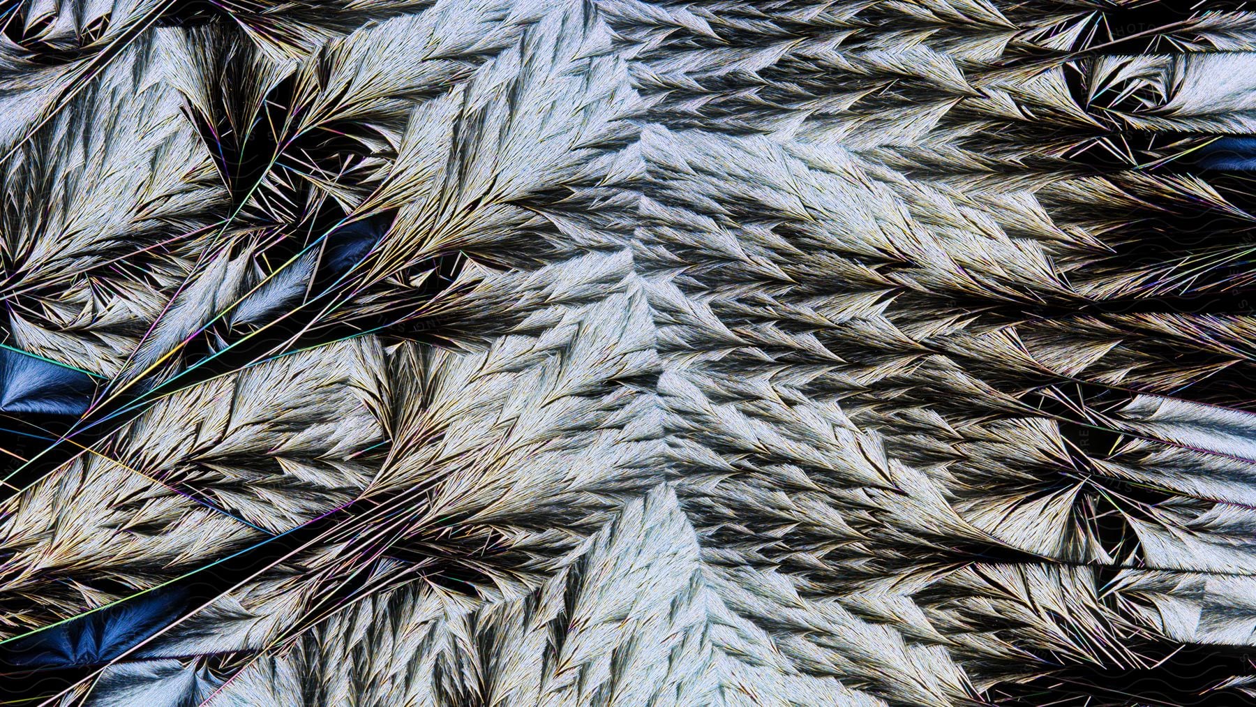 digital artwork mimics a pile of feathers