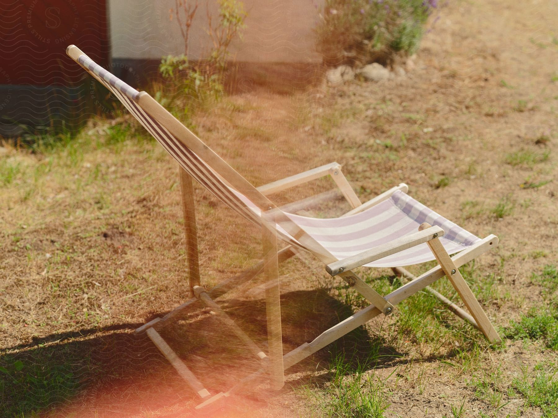 Summer lawn chair sitting in the grass near a building besides a small tree.