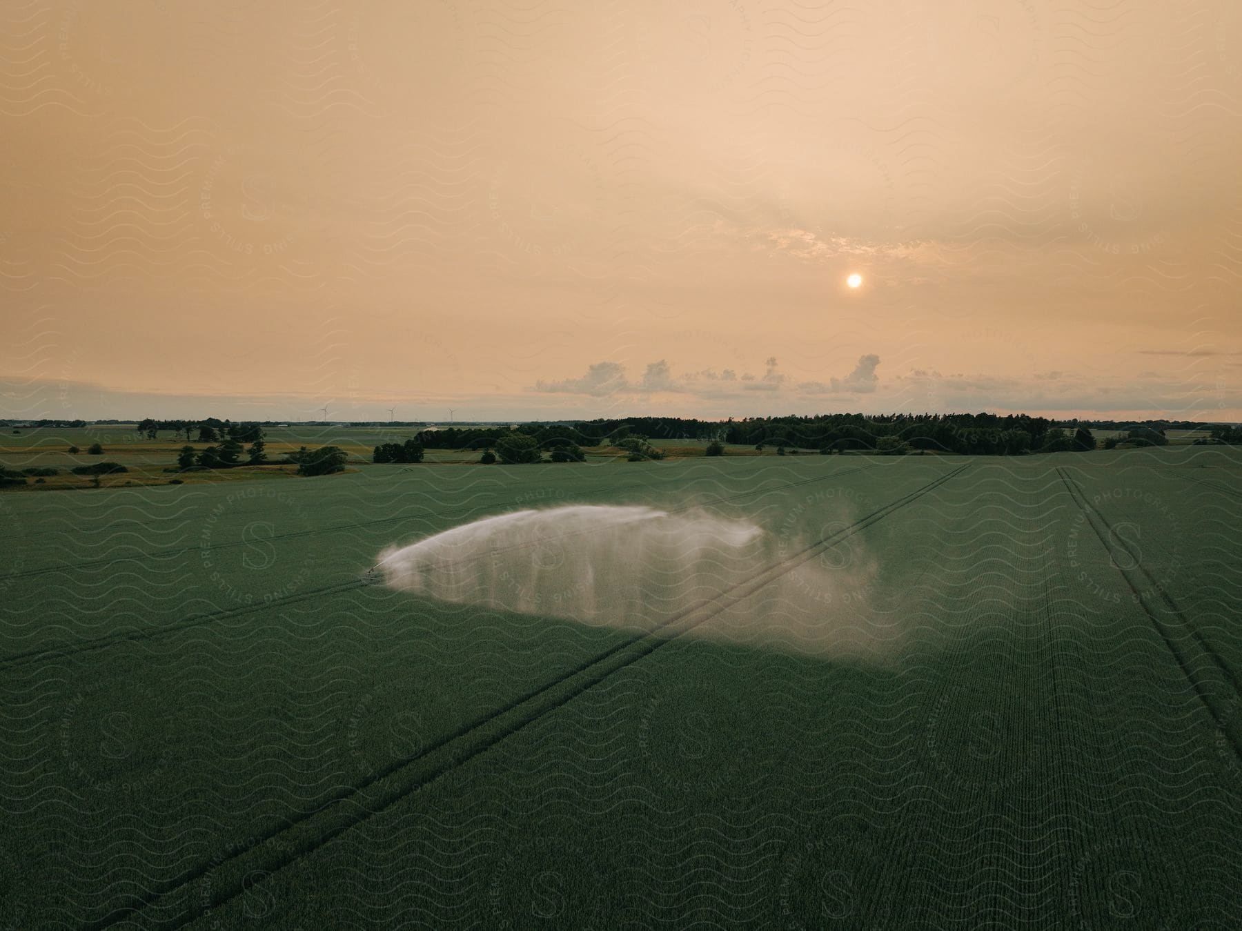 Irrigation machine watering an agricultural field with young shoots, green plants during a sunrise.