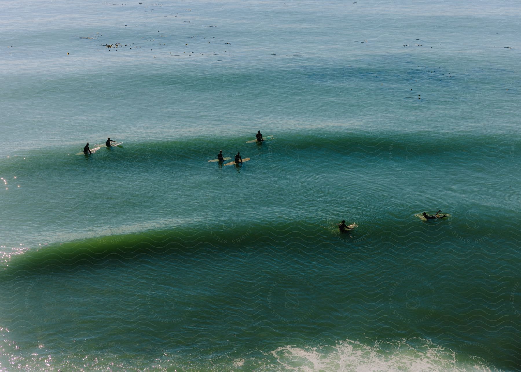 People are in the water with their surfboards as waves roll into shore