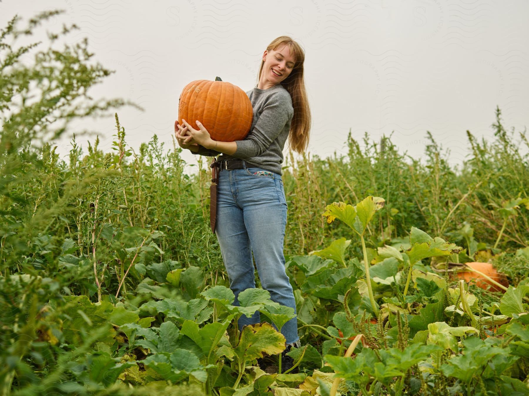 A woman is standing in a pumpkin patch holding a pumpkin in her arms