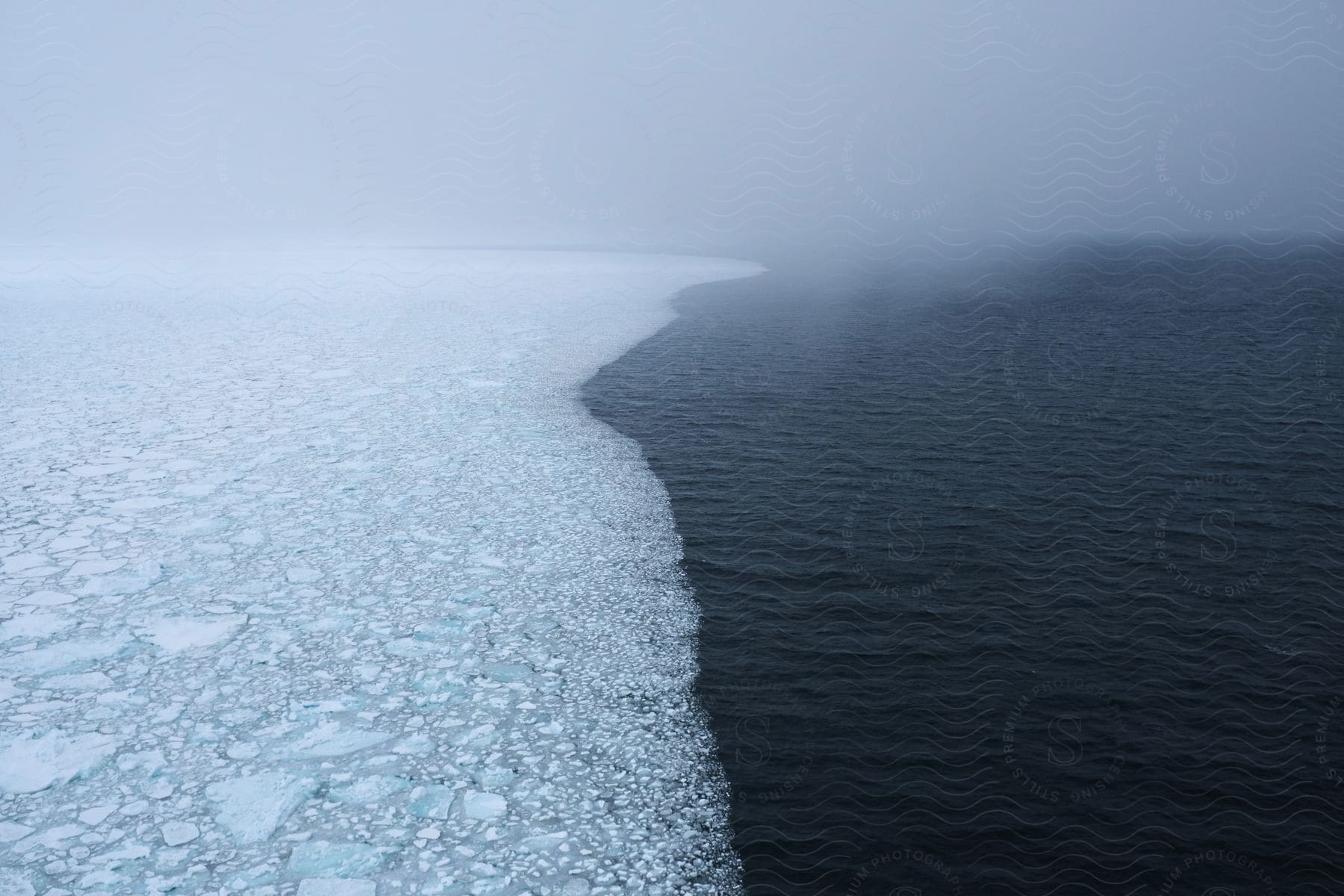 Ice floes gathered together in the open ocean.