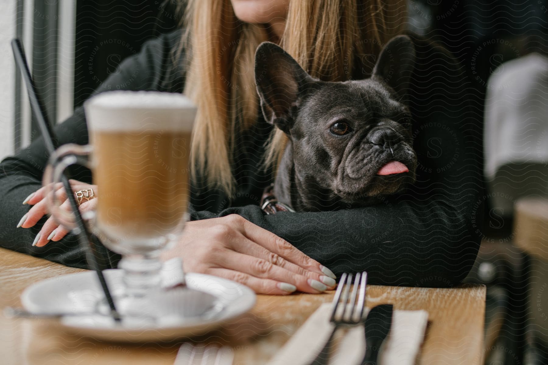 French bulldog sits on woman's lap in cafe