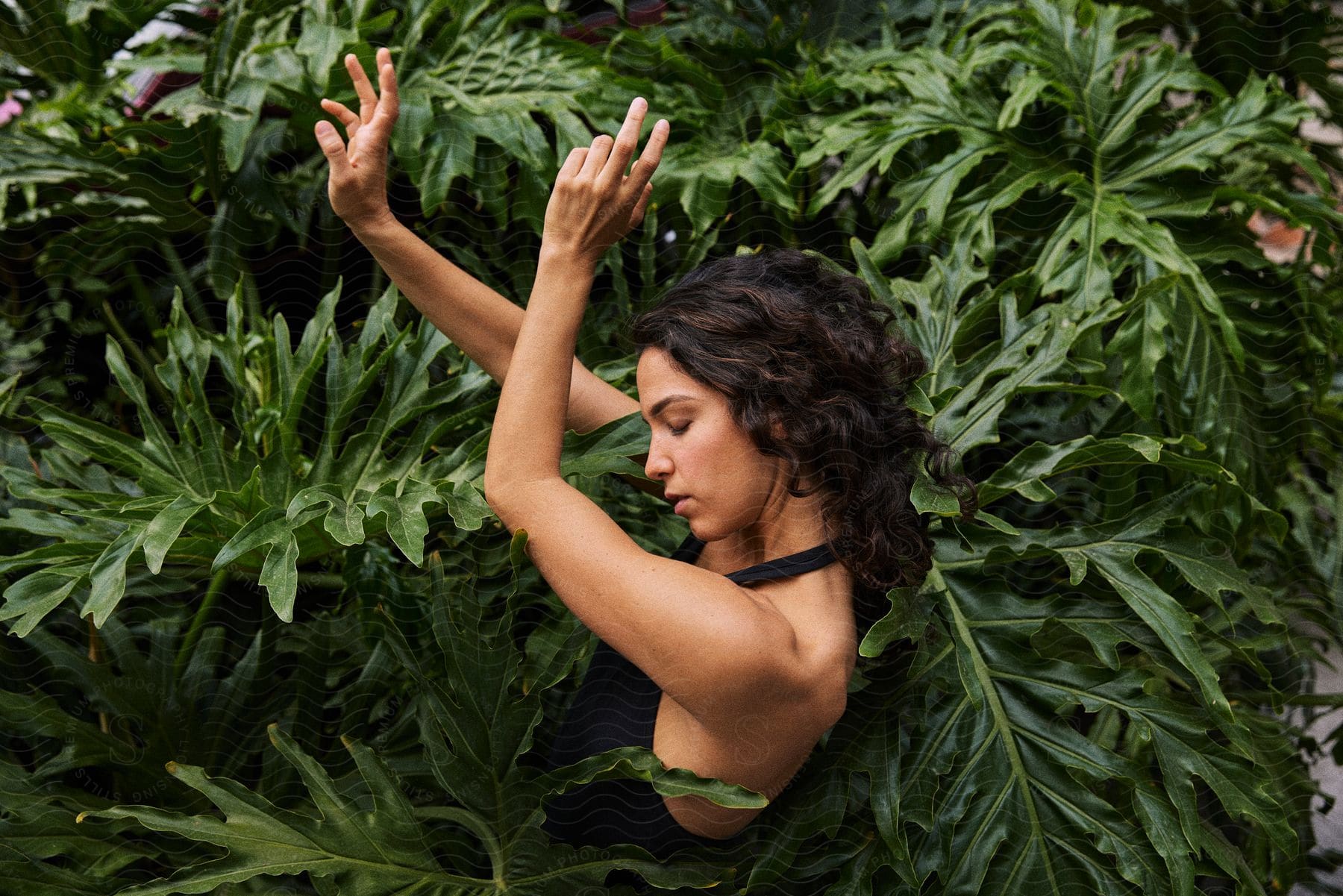 woman is surrounded by tropical leaves while reaching towards the sky