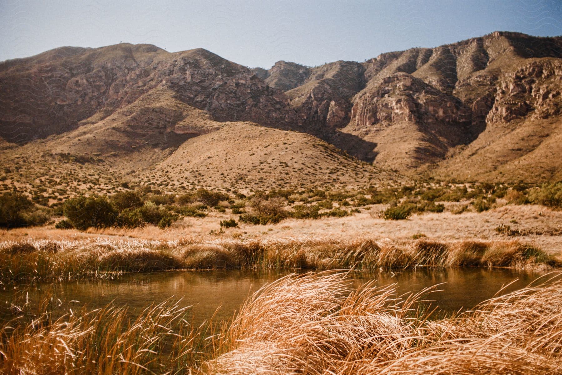 View of a small lake with a chain of mountains in the background.