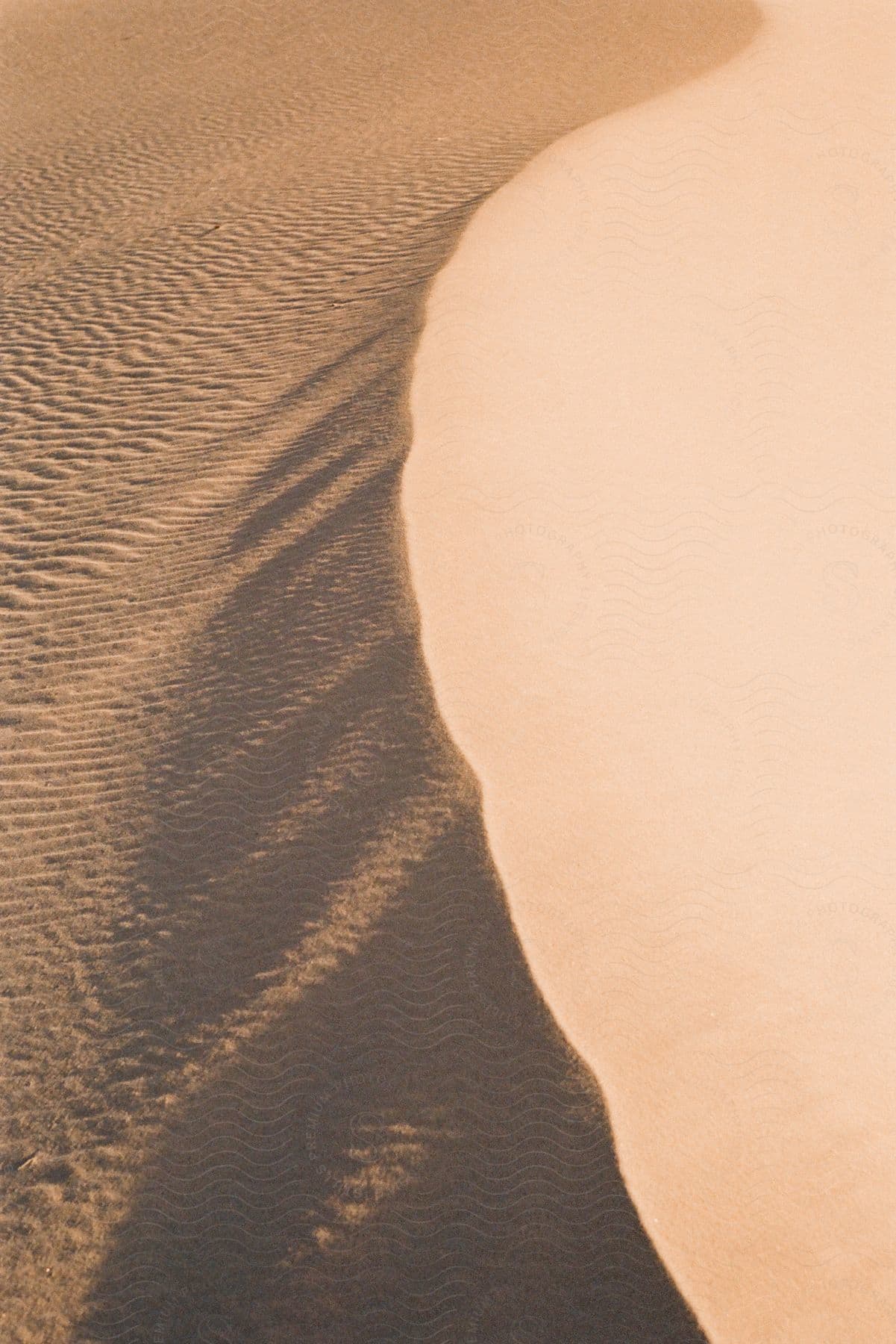 a wave pattern forms in the sand below a dune