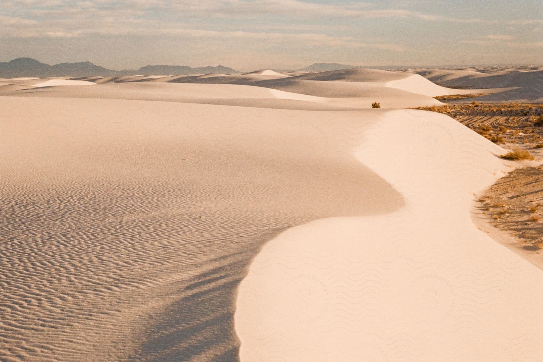 Landscape of white sand dunes in the desert