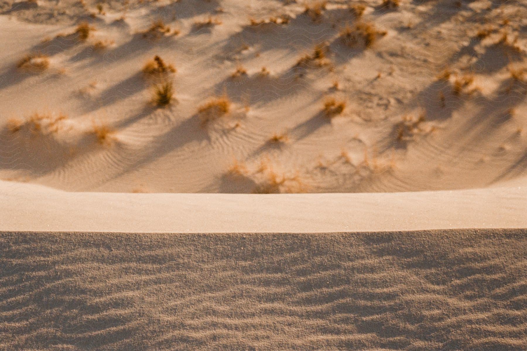 A sandy beach with multiple looks to the sand.