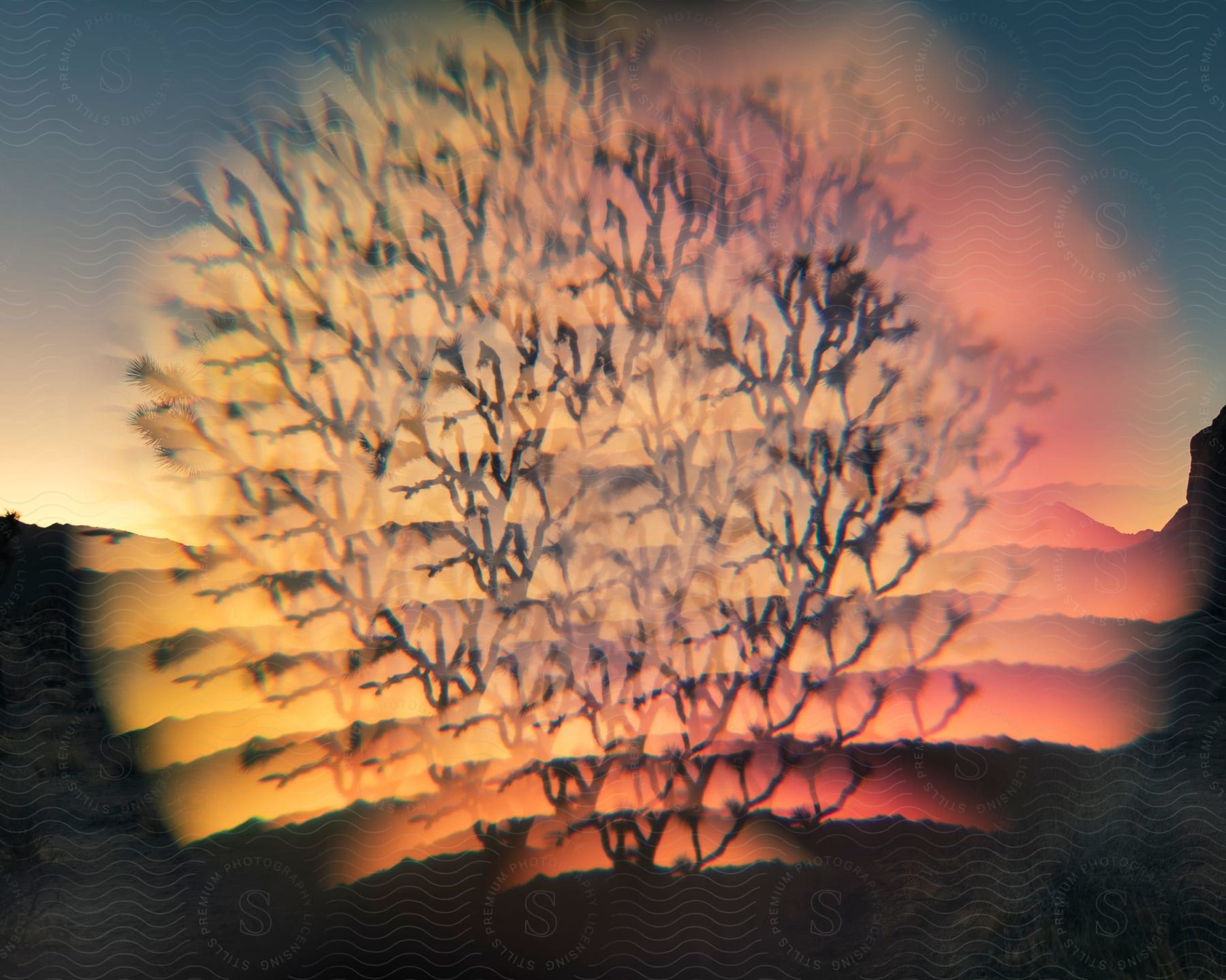 A tree stands among the mountains as the sun glows on the horizon