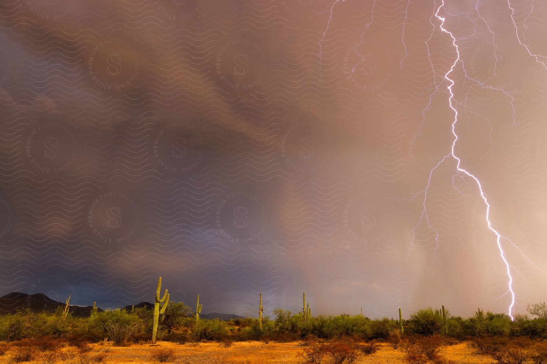 lightning flashing in the sky in the desert