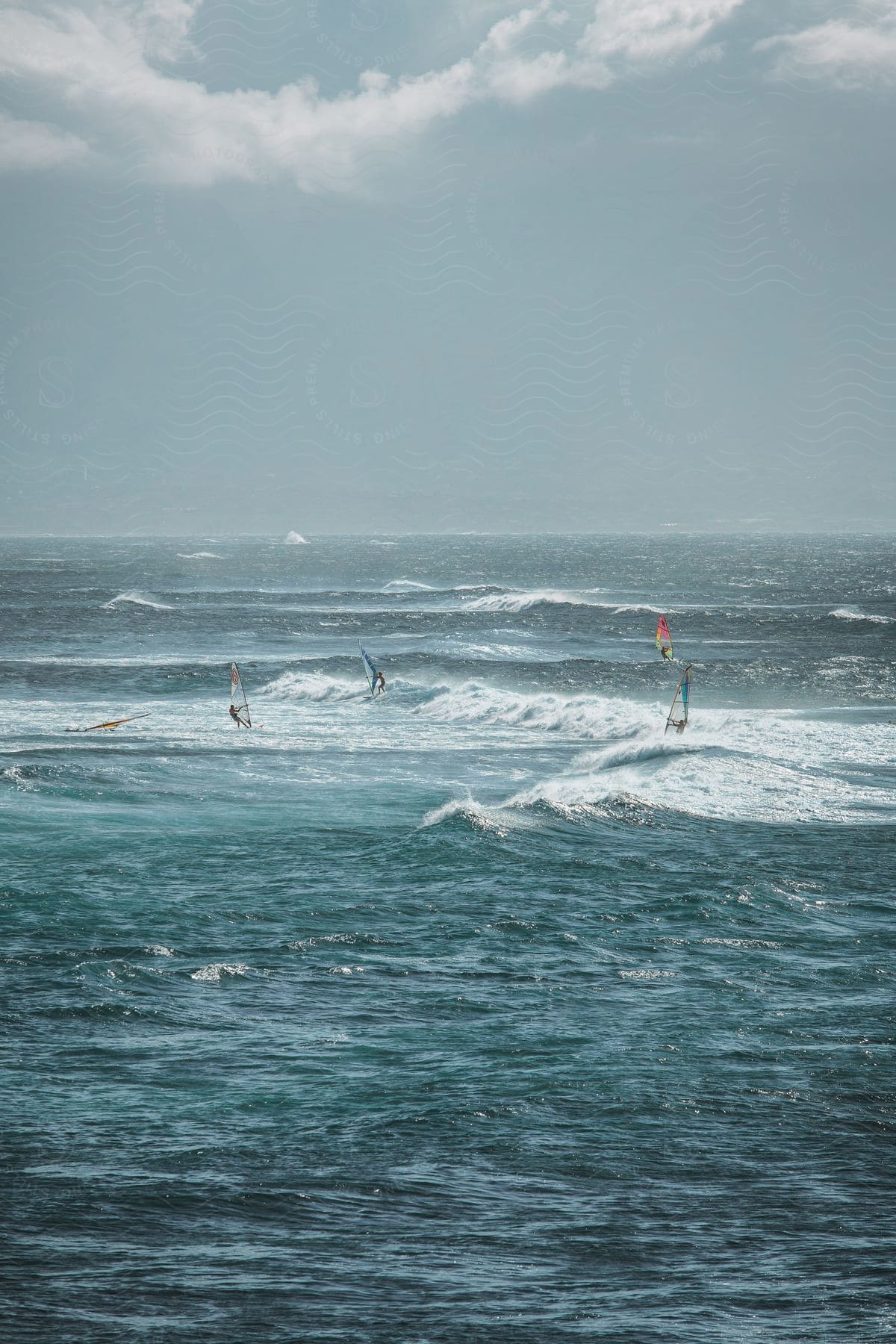 People out in the open sea practicing windsurfing.