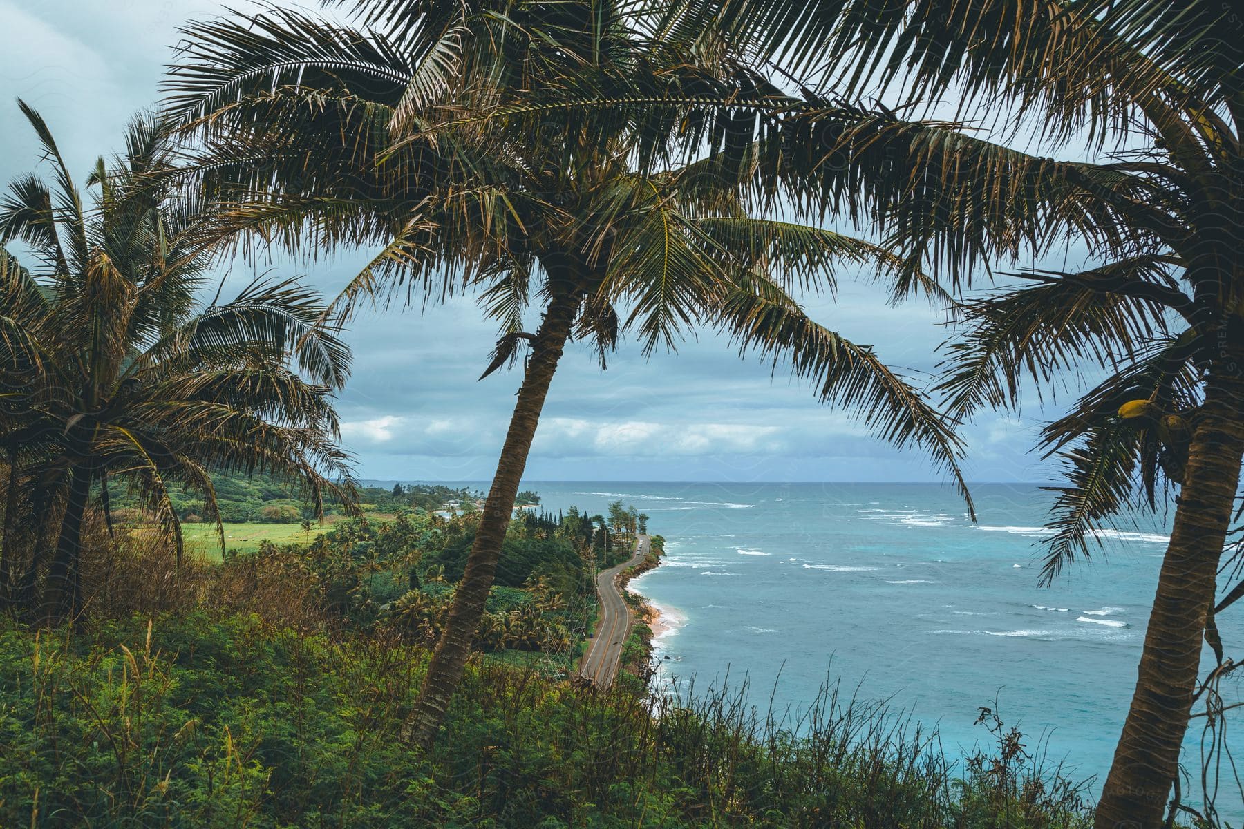 A highway borders a tropical coastline while ocean waves roll in.