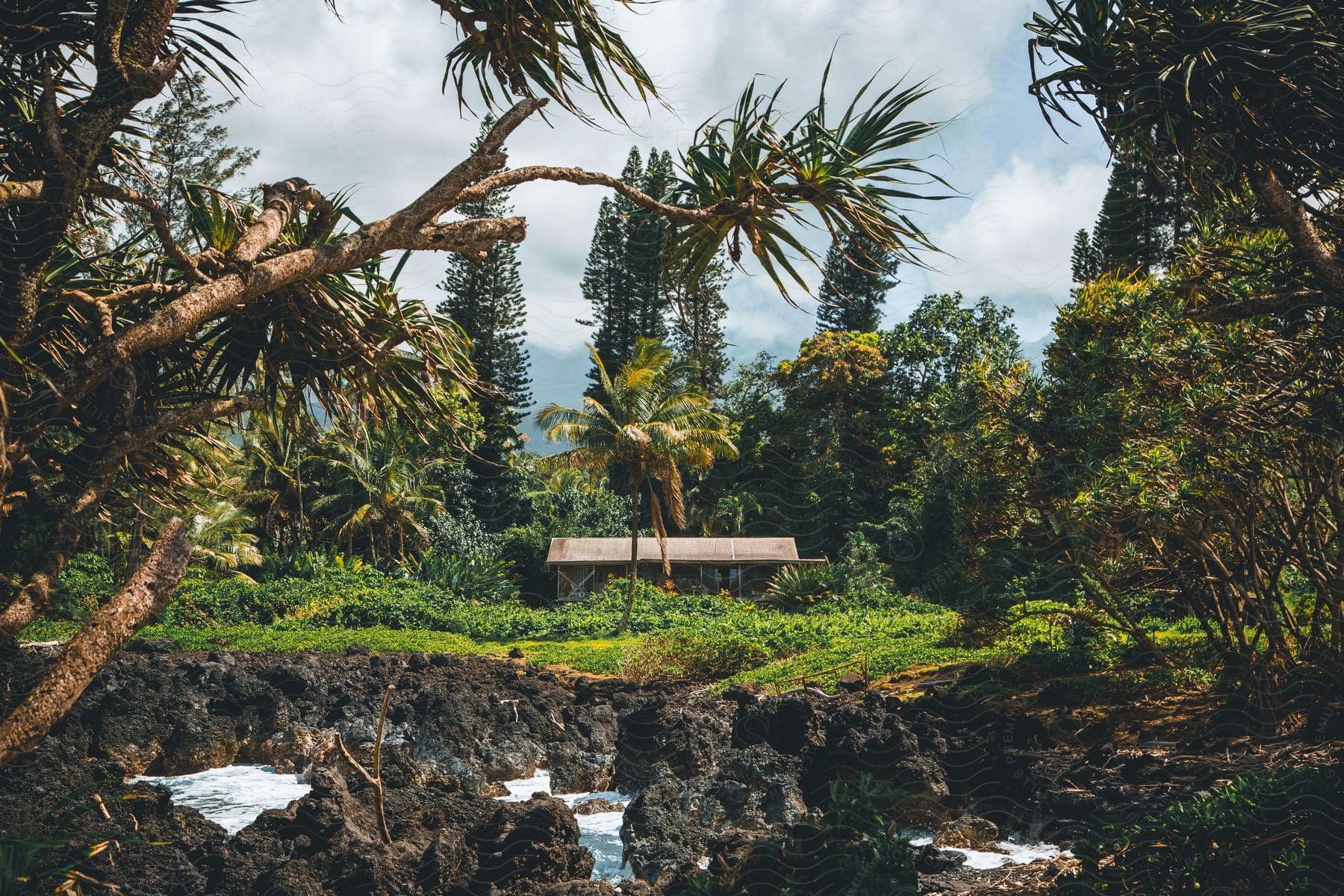 Stock photo of a cabin on the edge of a tropical coast.