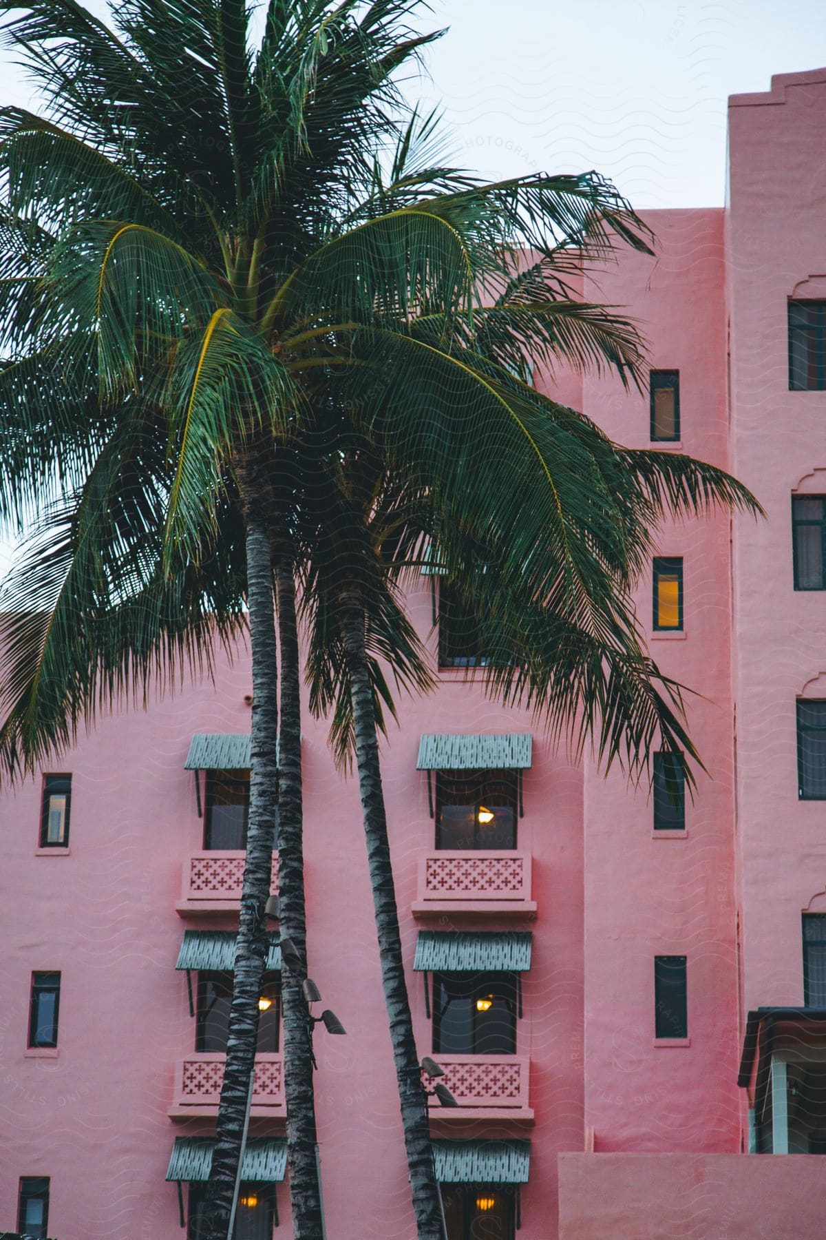 Stock photo of a tall, pink residential building with palm trees out front.