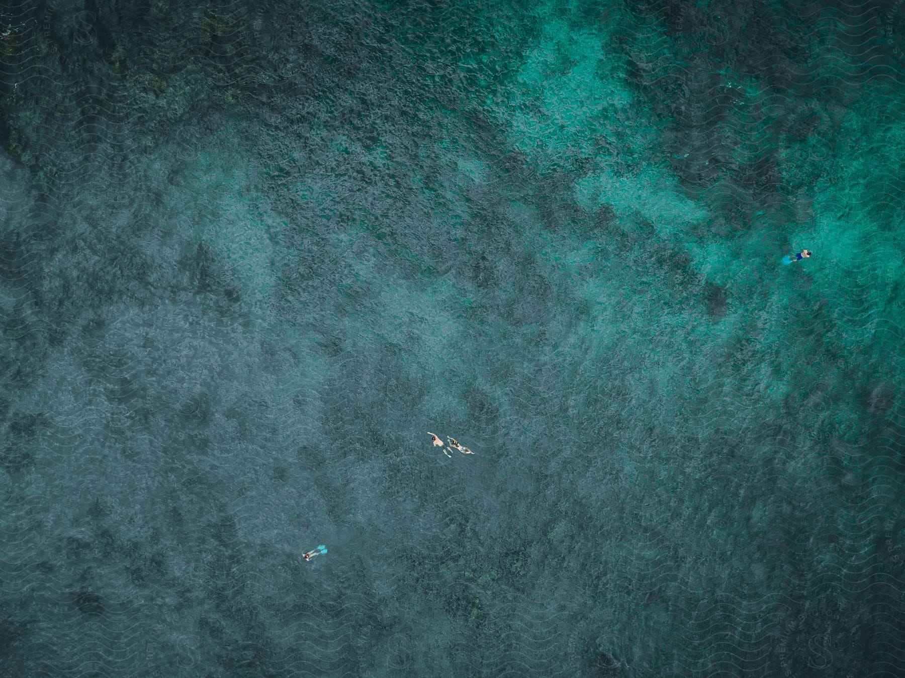 An aerial view of some people surfing and swimming in the ocean.