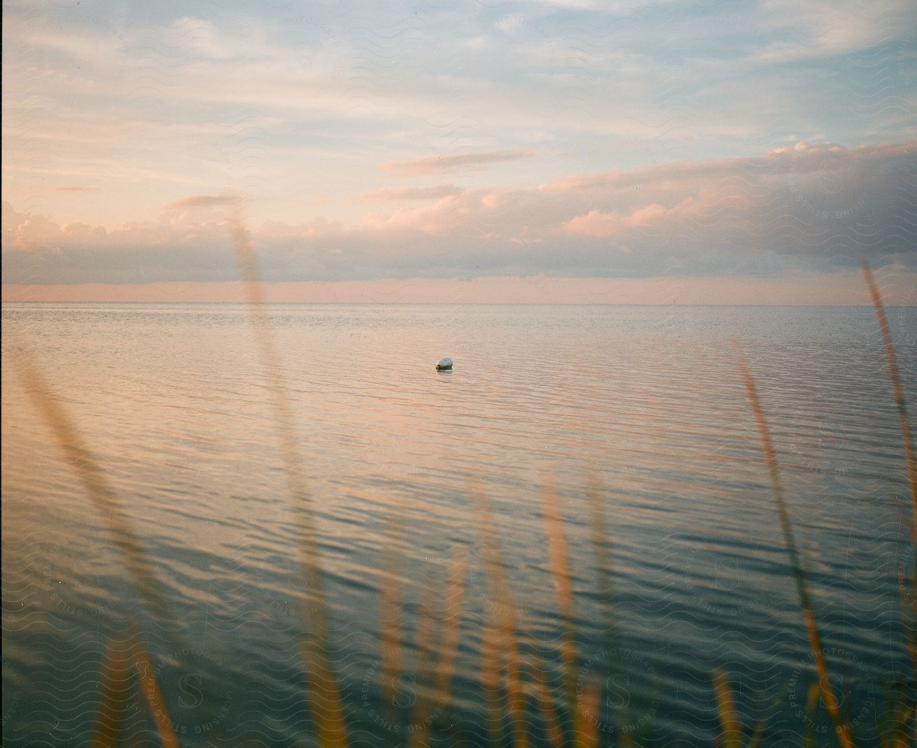 A bottle is floating in the ocean.