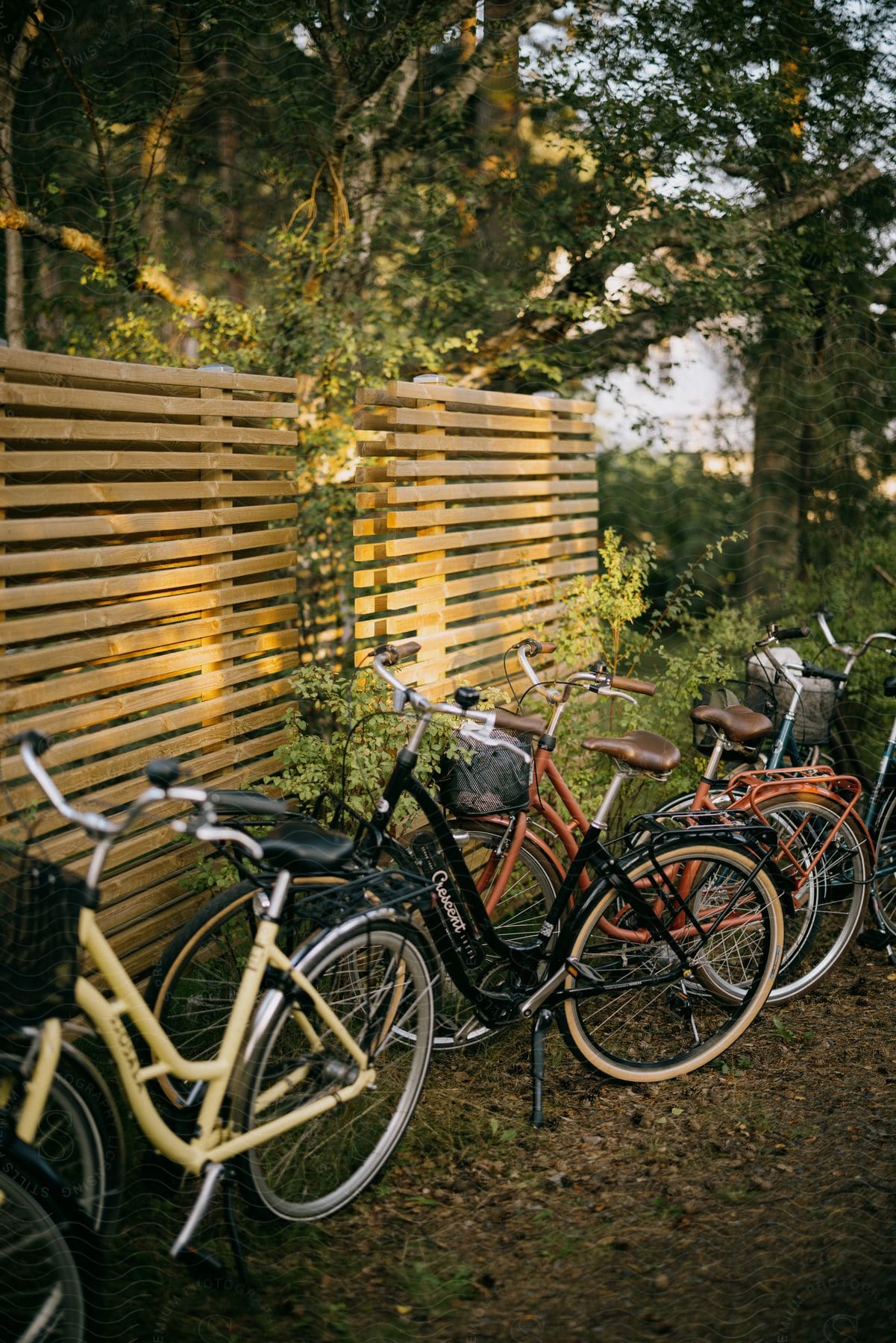 Group of bicycles parked near a wooden fence in a yard