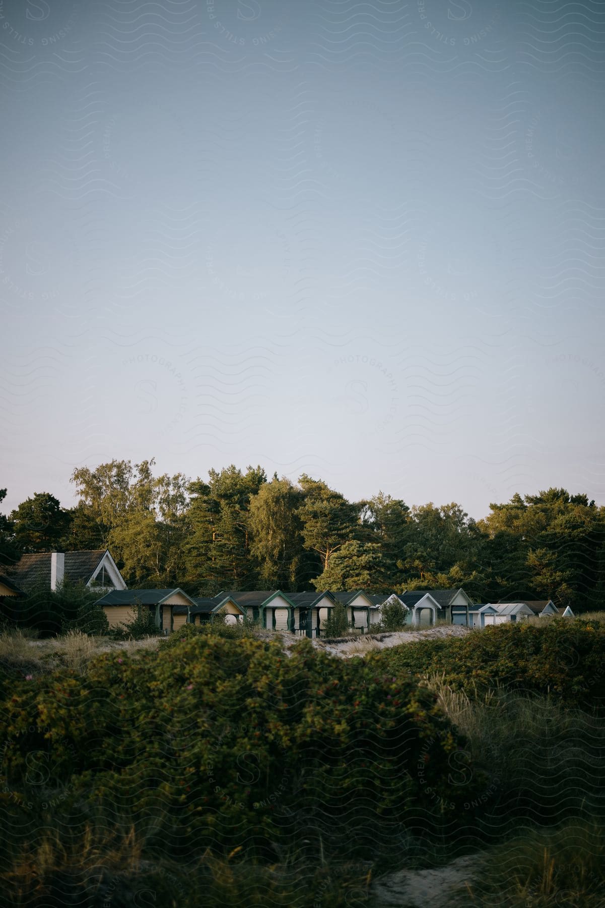 Apartments that all look very similar to each other in a heavily wooded area in the back.