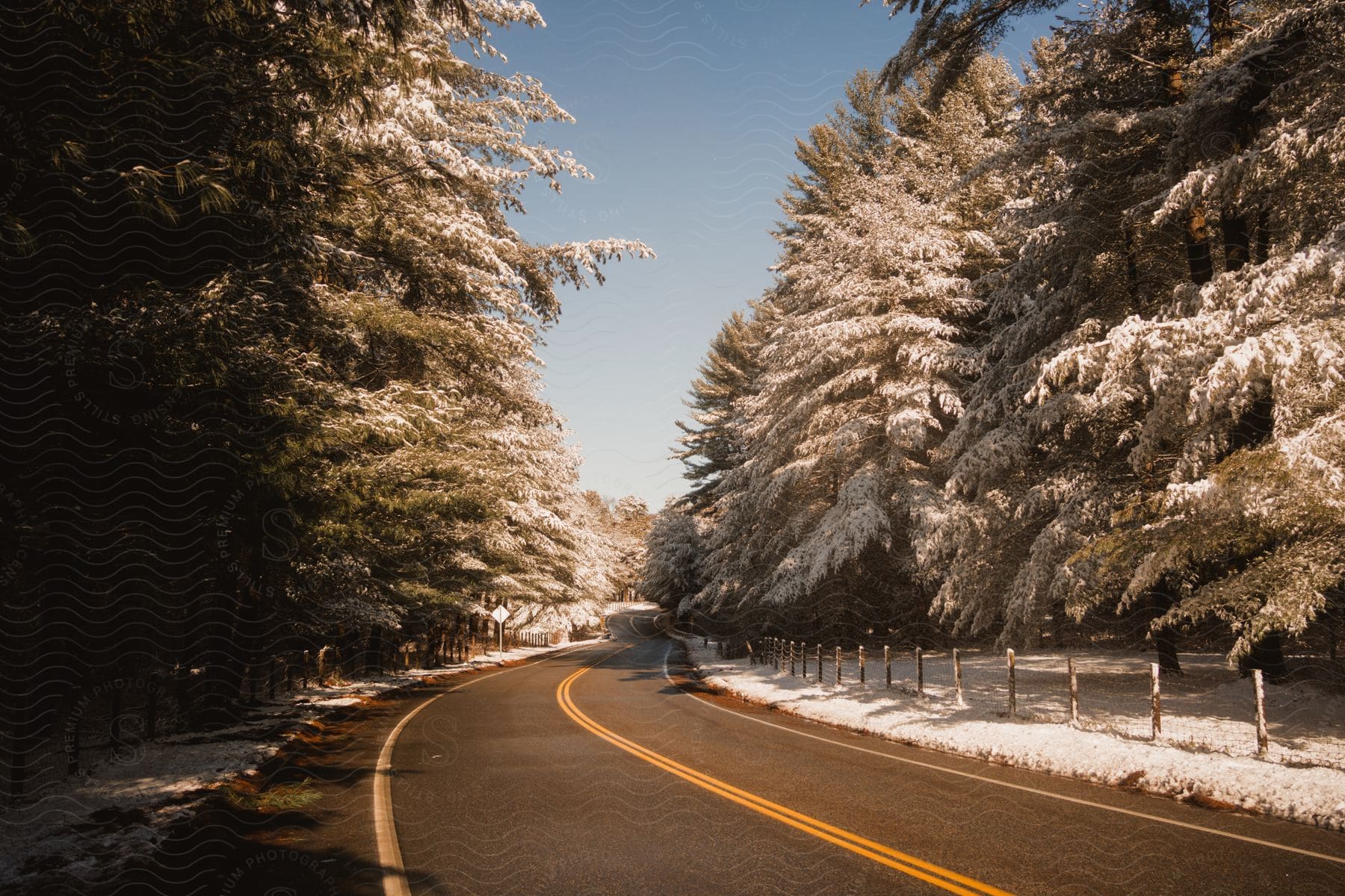 A road that is running through the middle of a forest covered in snow